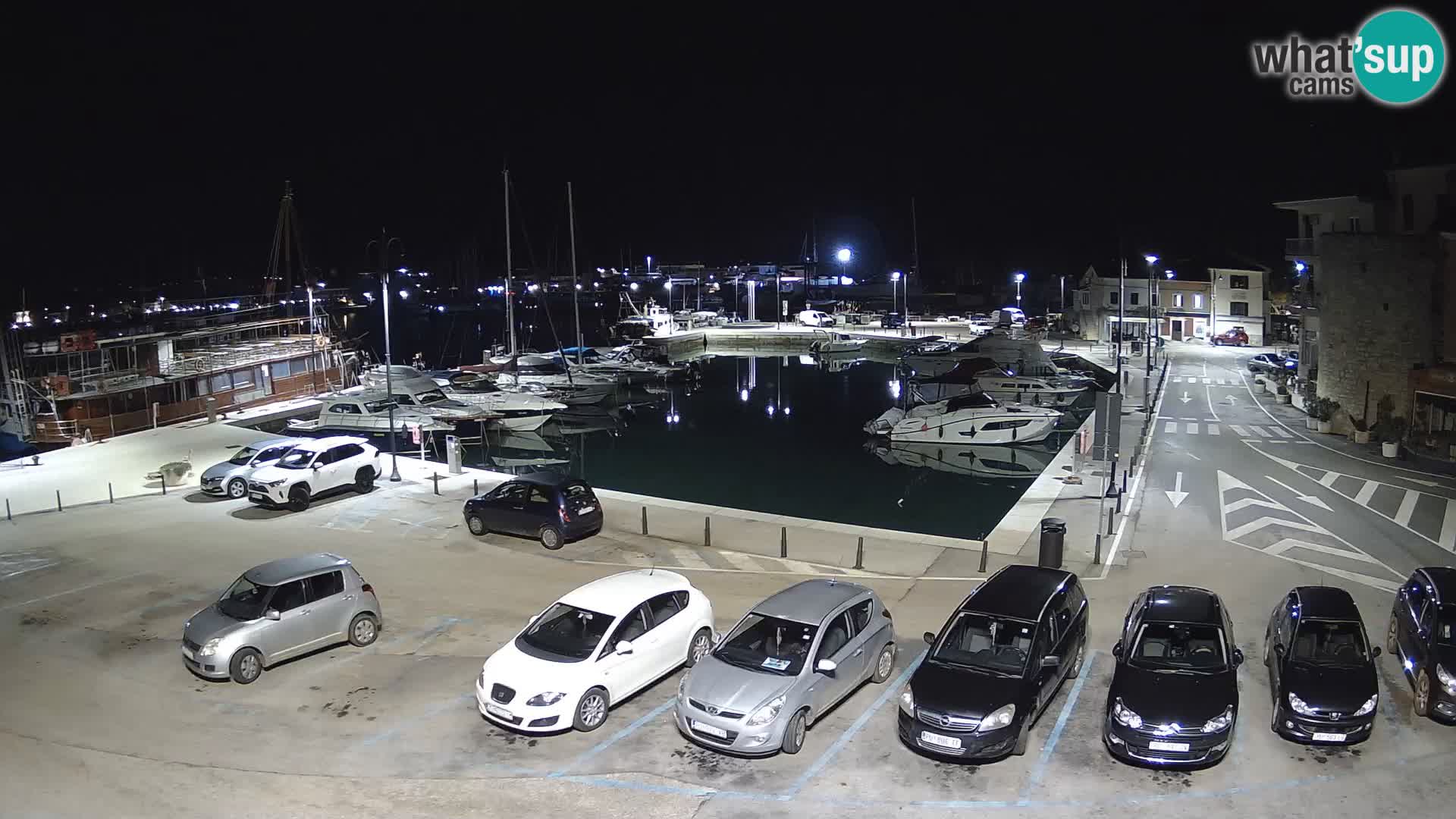 Novigrad | Porporela marina