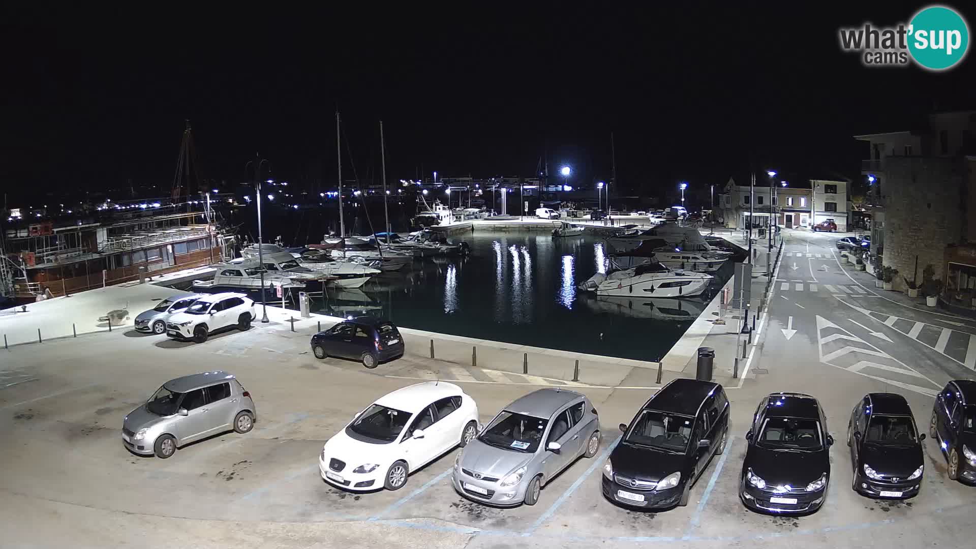 Novigrad | Porporela marina