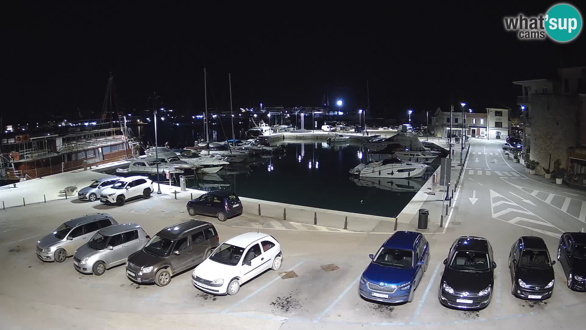 Novigrad | Porporela marina