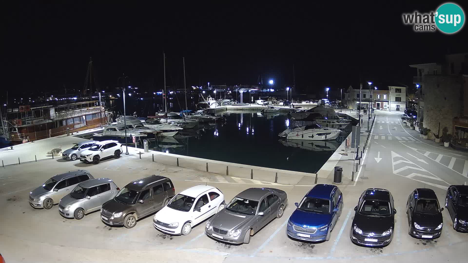 Novigrad | Porporela marina