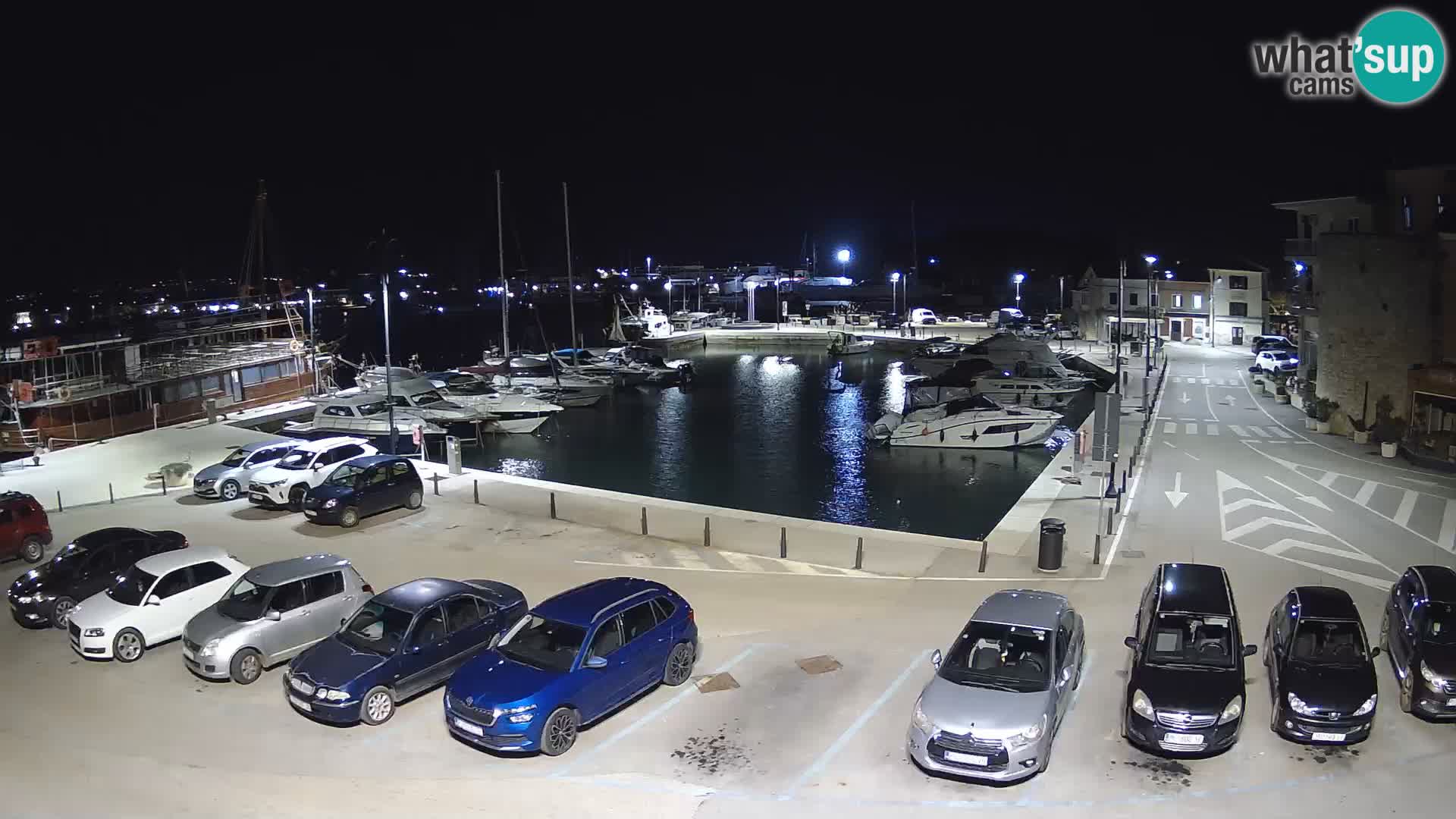 Novigrad | Porporela marina