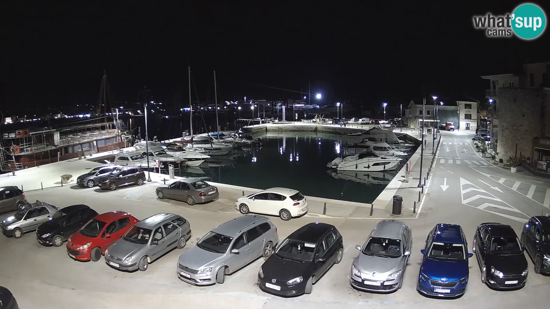 Novigrad | Porporela marina