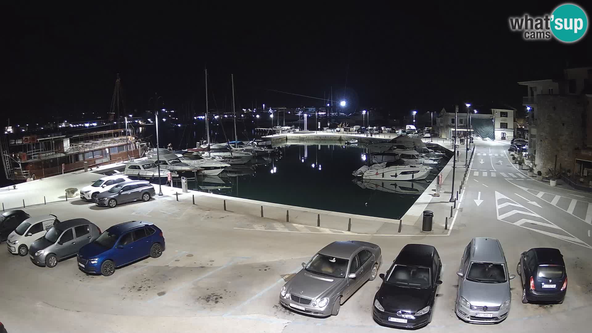 Novigrad | Porporela marina
