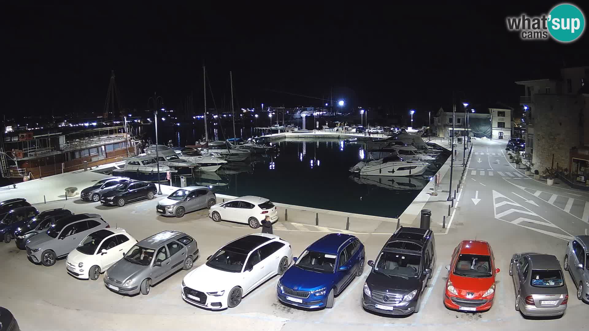 Novigrad | Porporela marina