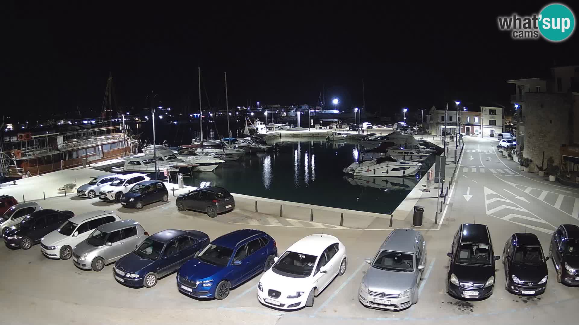 Novigrad | Porporela marina