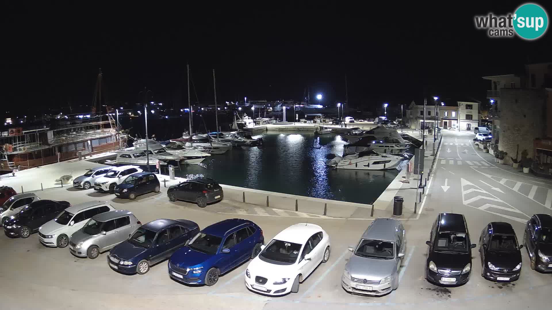 Novigrad | Porporela marina