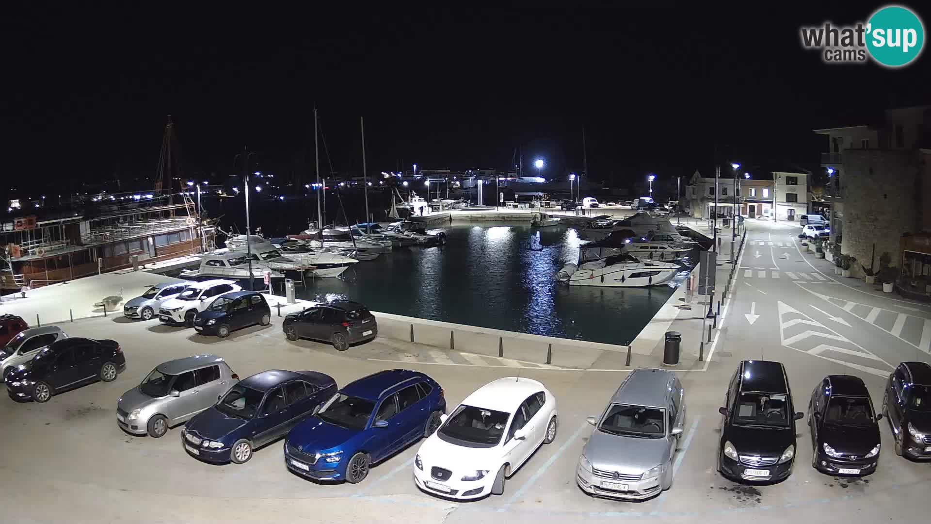 Novigrad | Porporela marina