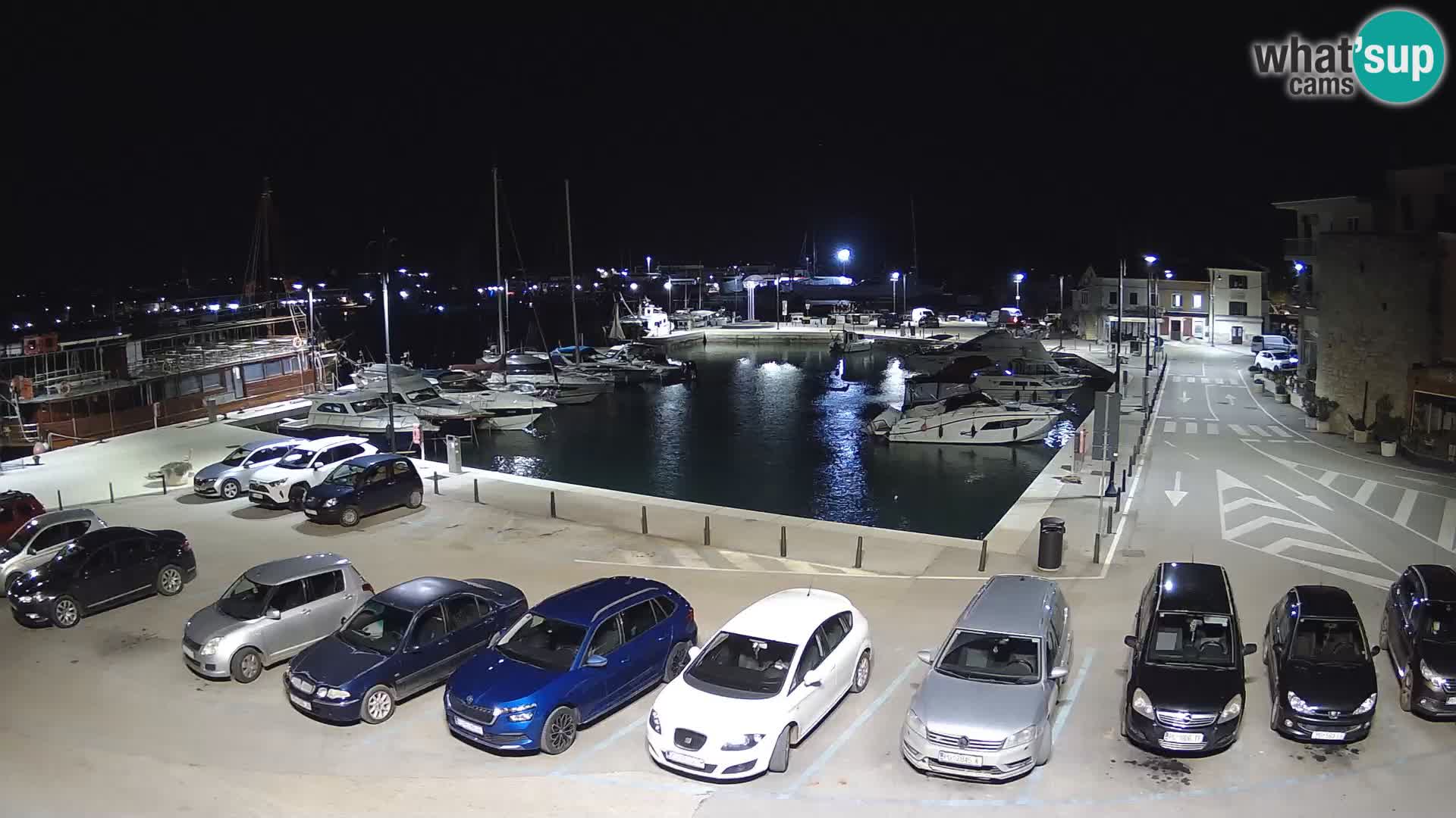 Novigrad | Porporela marina