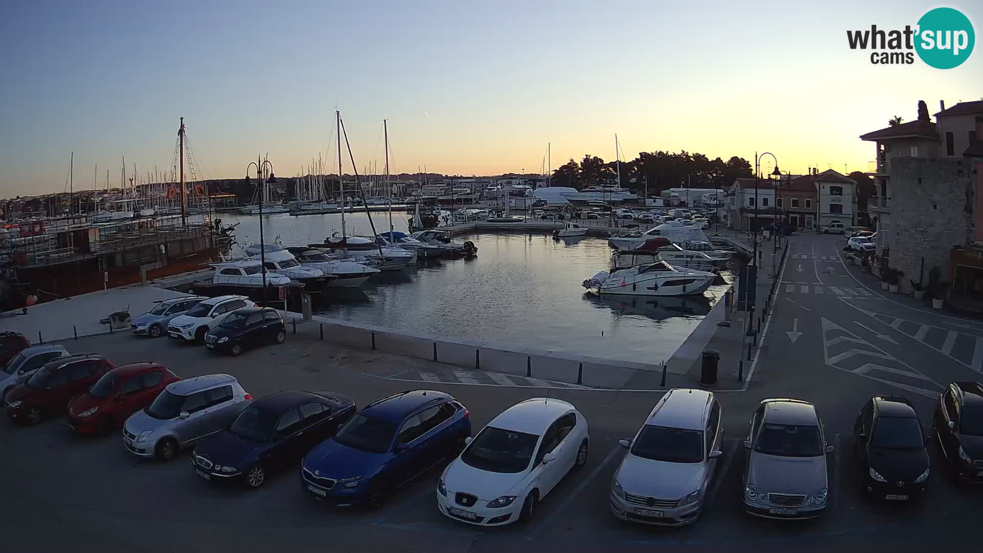 Novigrad | Porporela marina