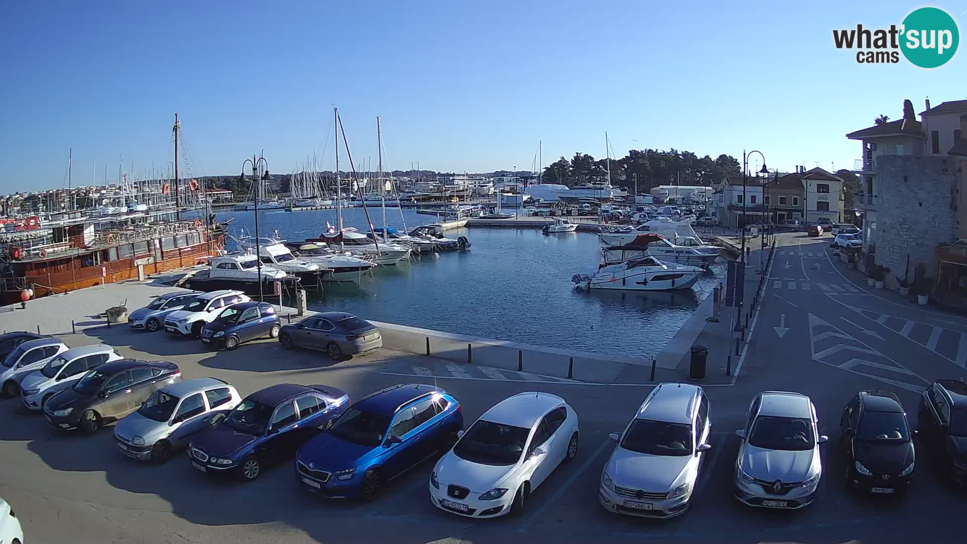 Novigrad | Porporela marina