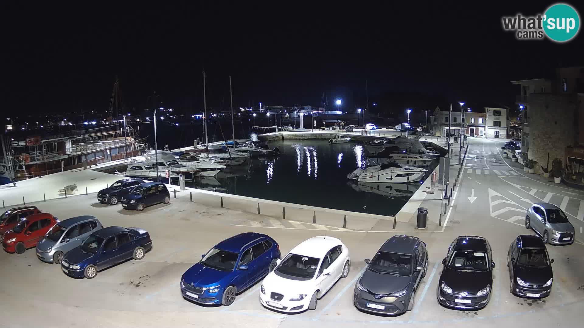 Novigrad | Porporela marina