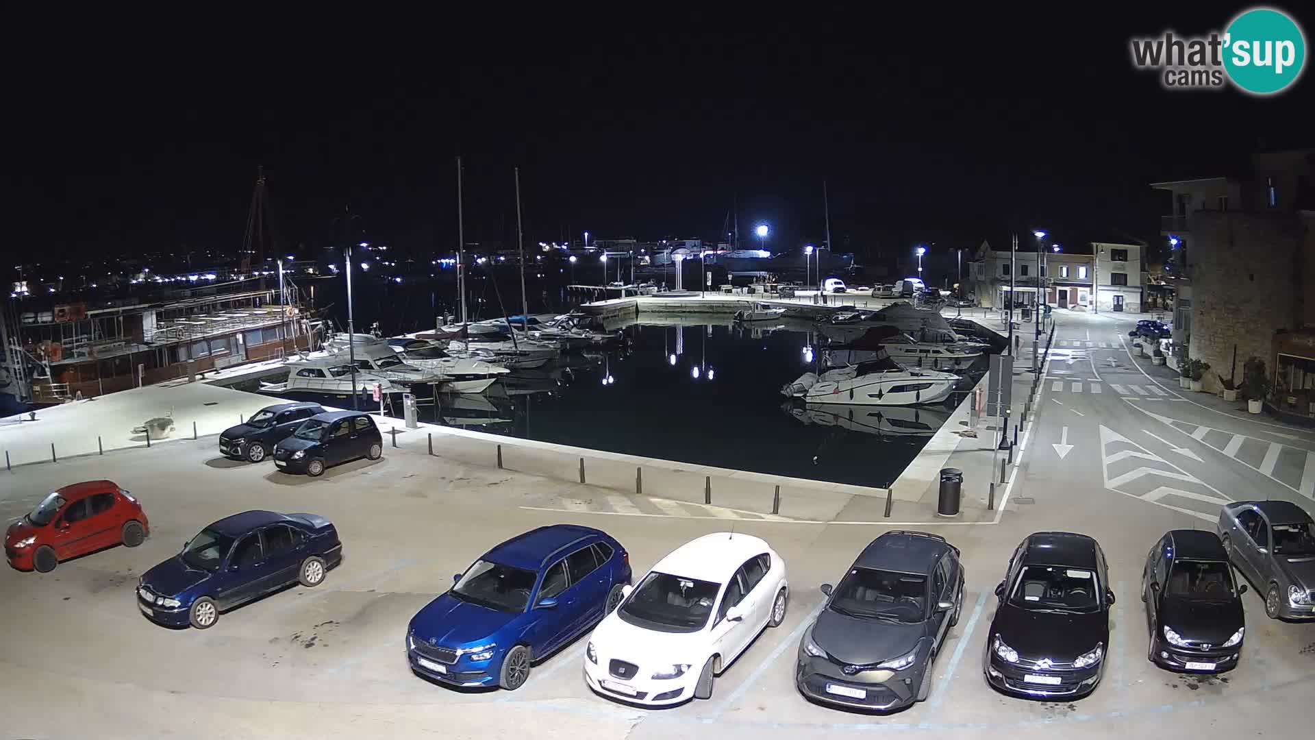 Novigrad | Porporela marina