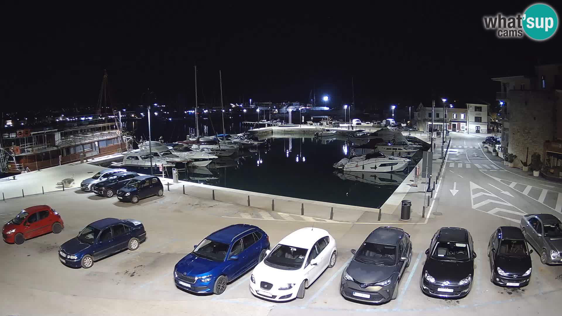 Novigrad | Porporela marina