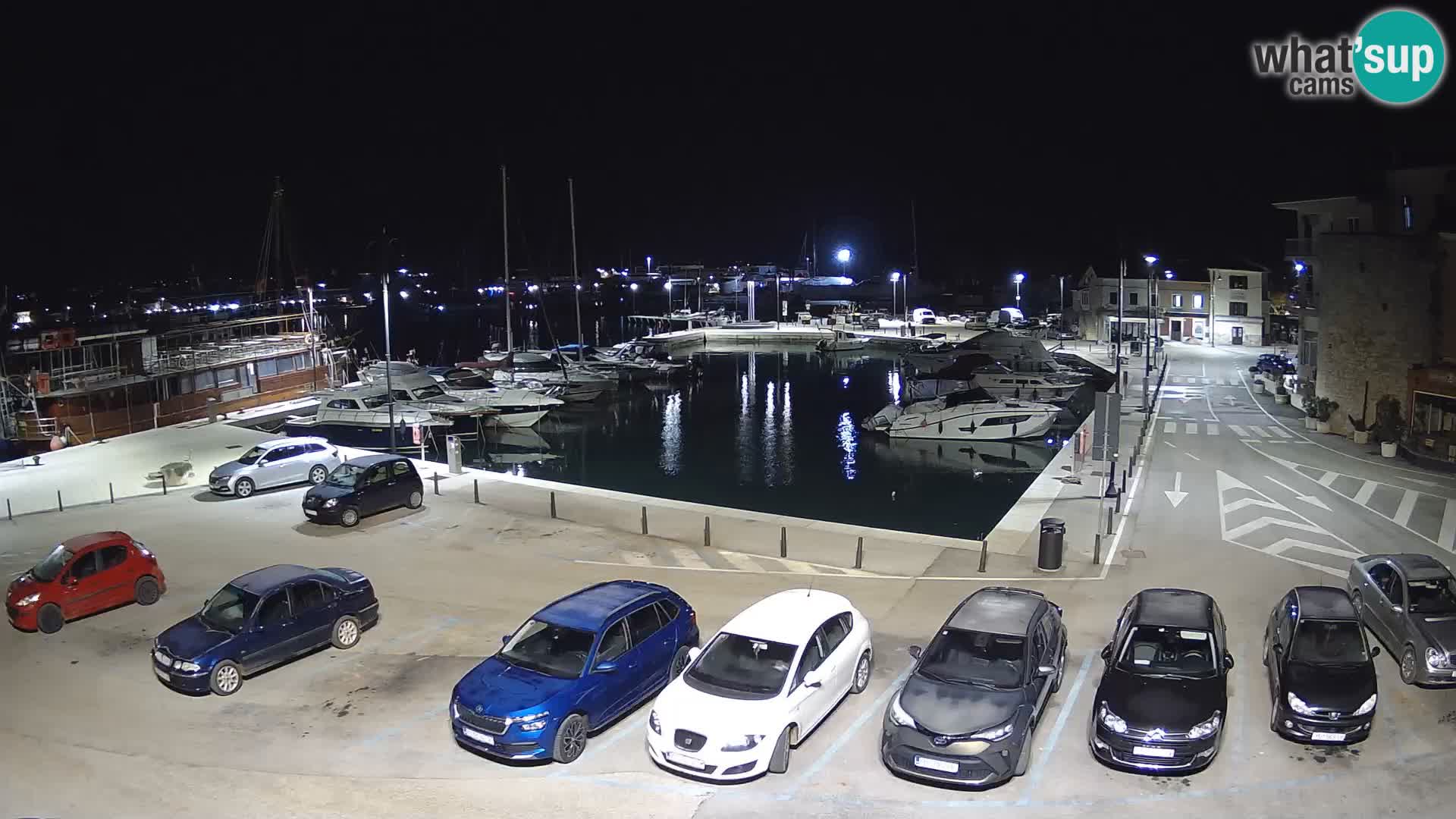 Novigrad | Porporela marina