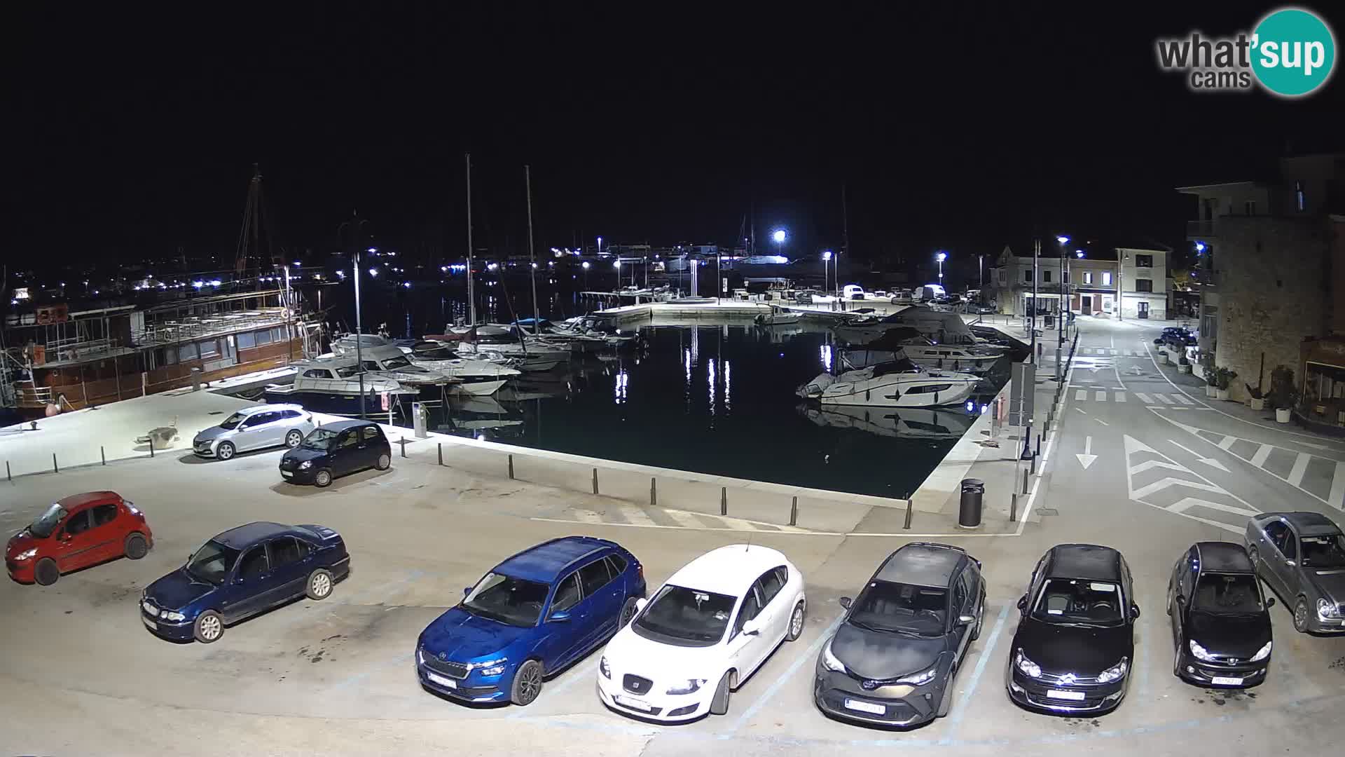 Novigrad | Porporela marina