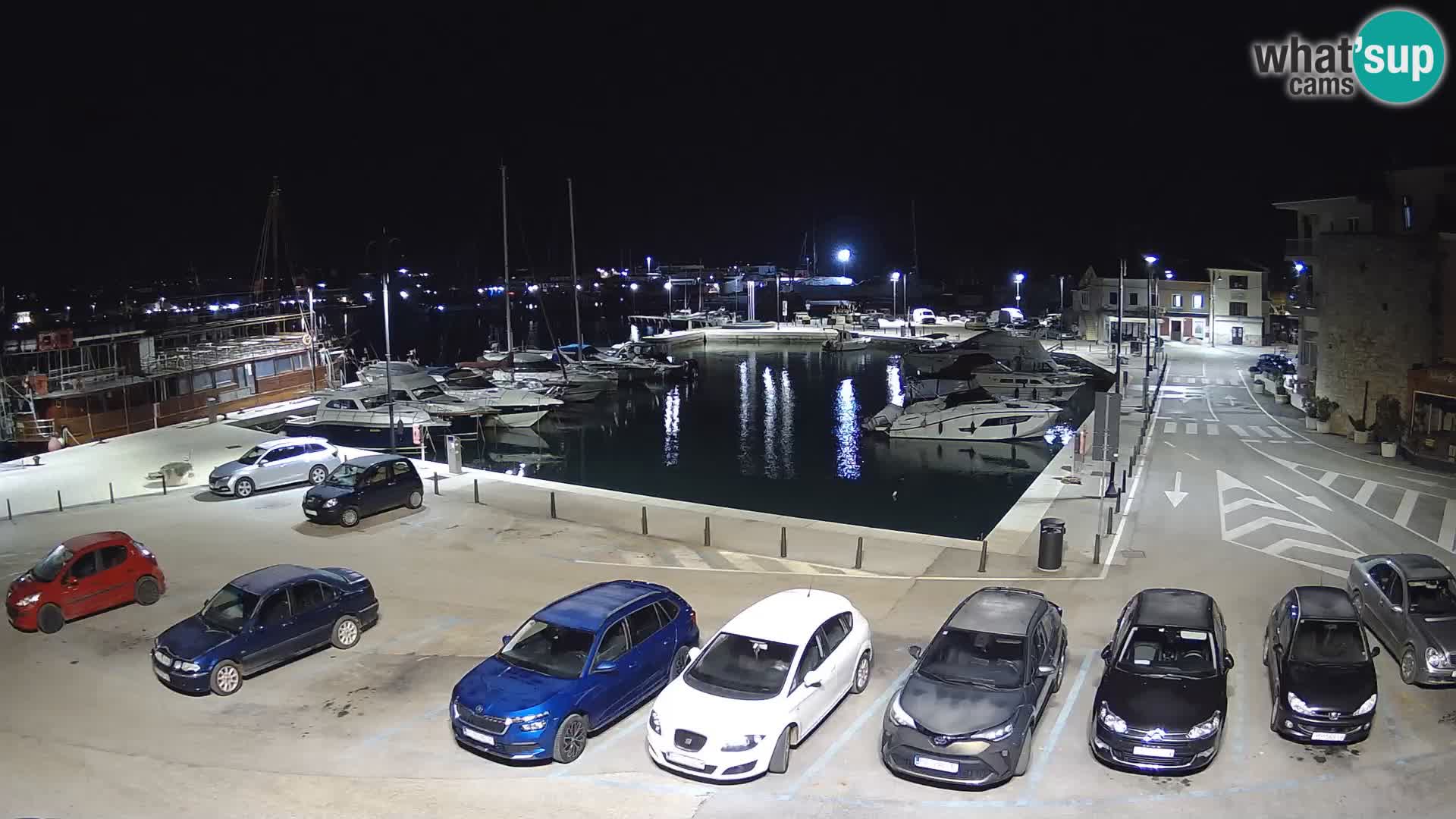 Novigrad | Porporela marina