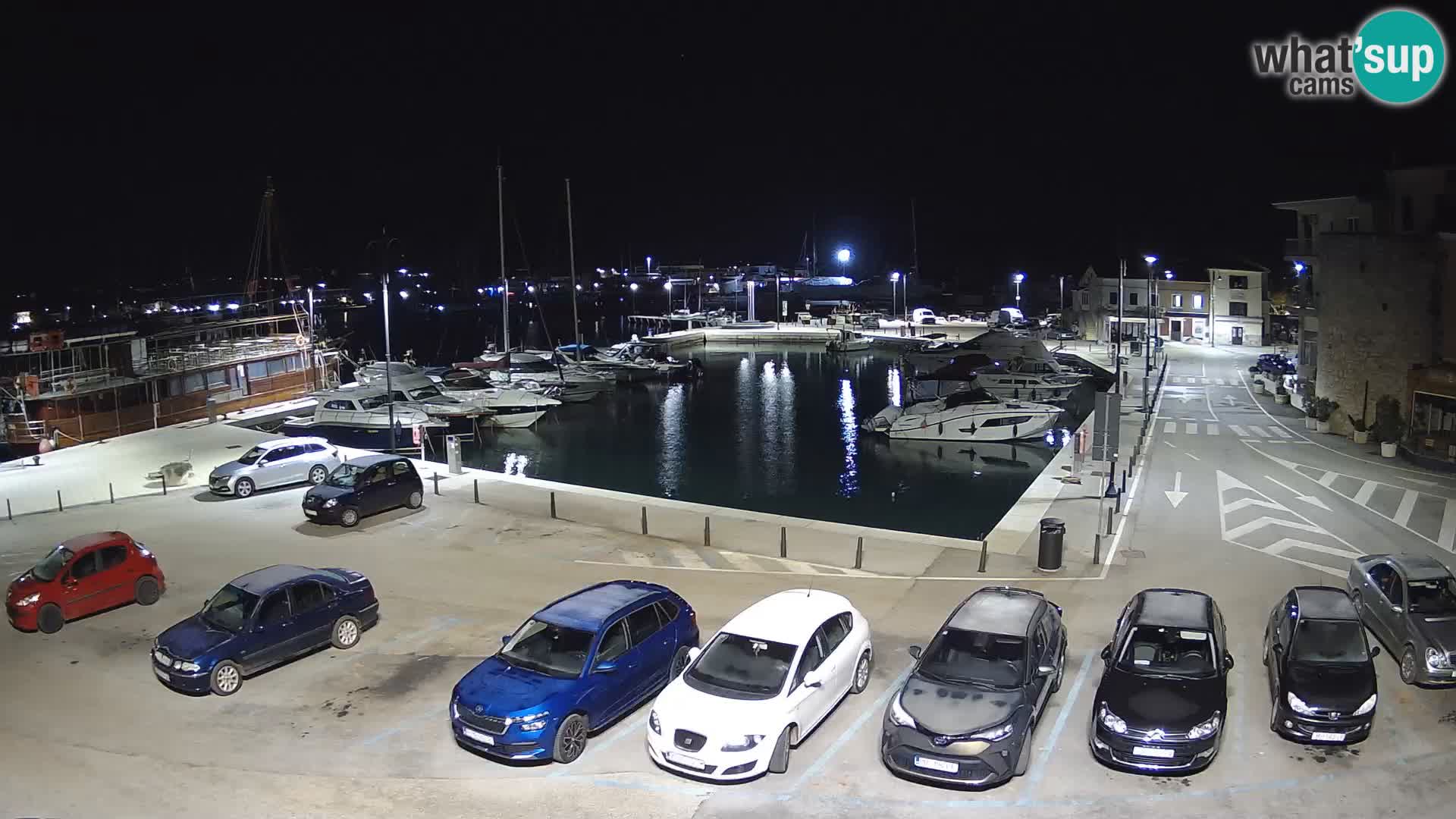 Novigrad | Porporela marina