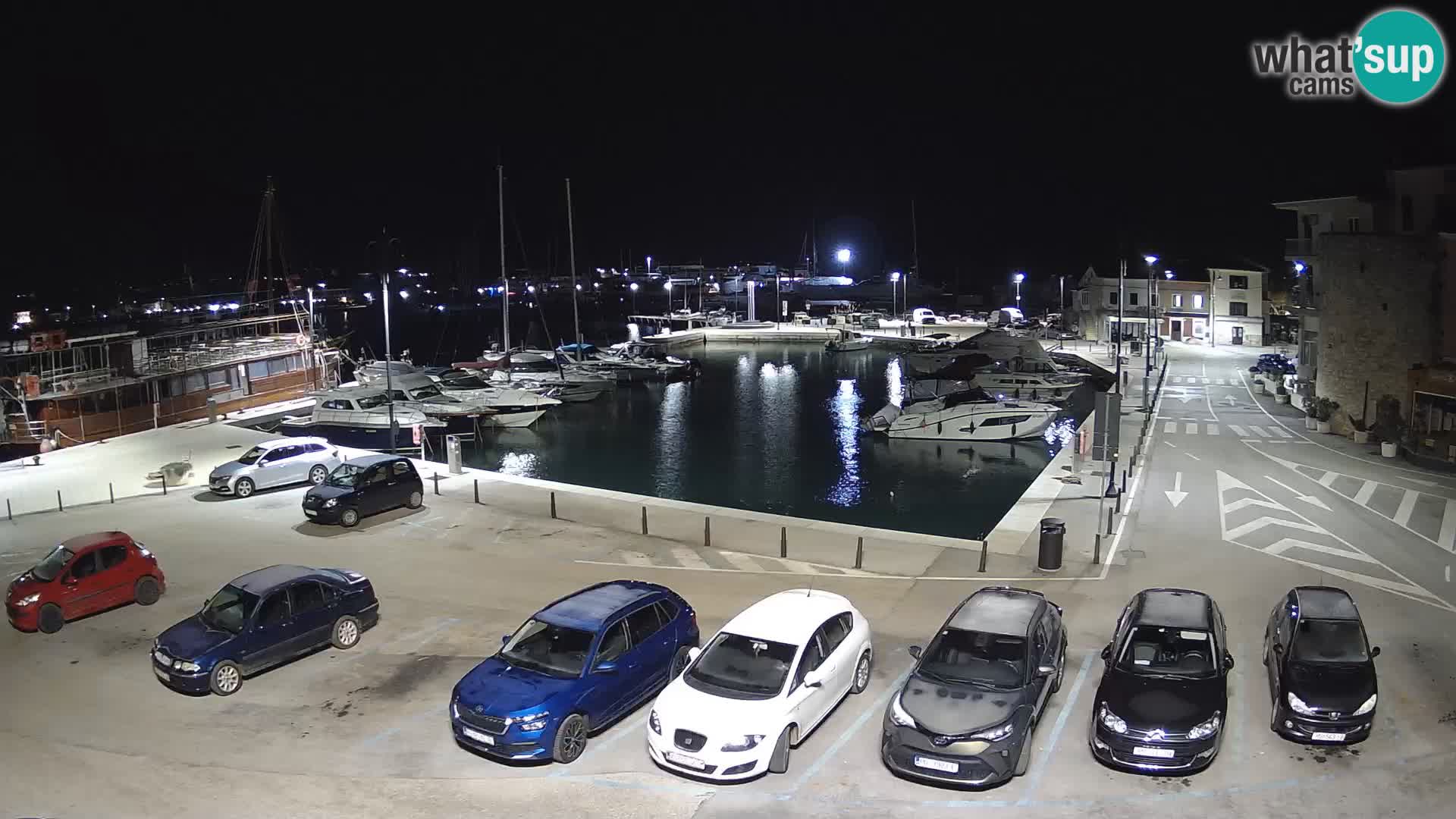 Novigrad | Porporela marina