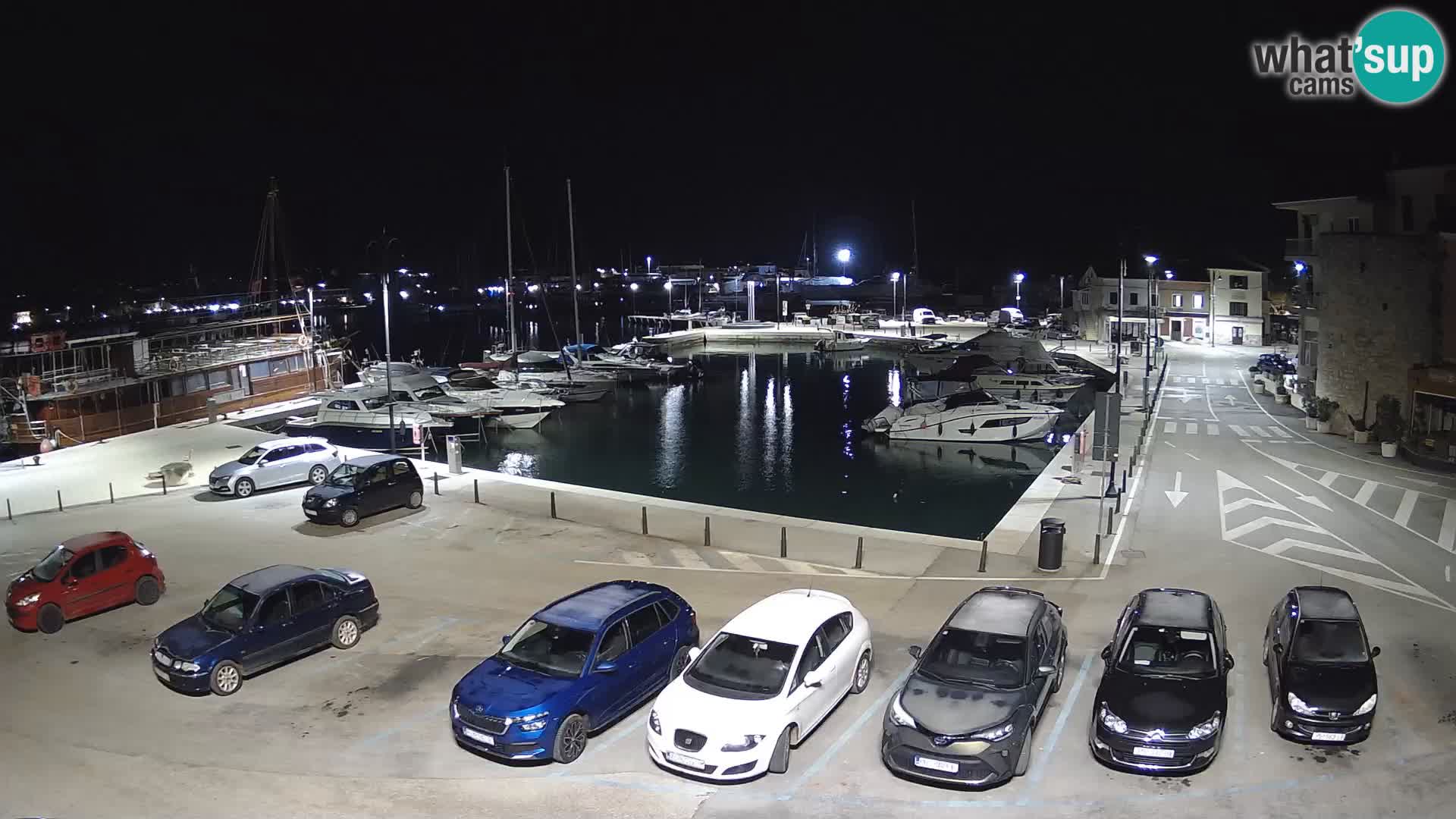 Novigrad | Porporela marina