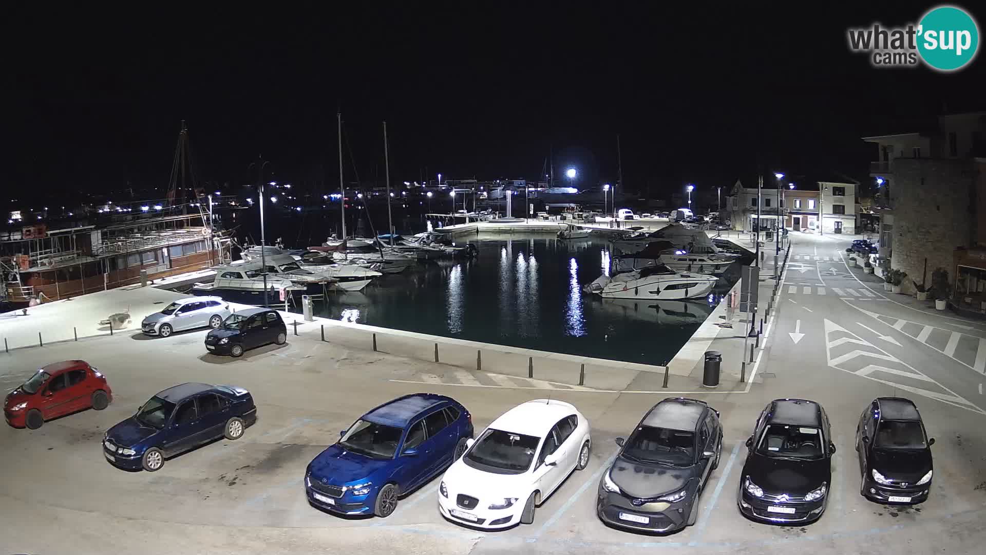 Novigrad | Porporela marina