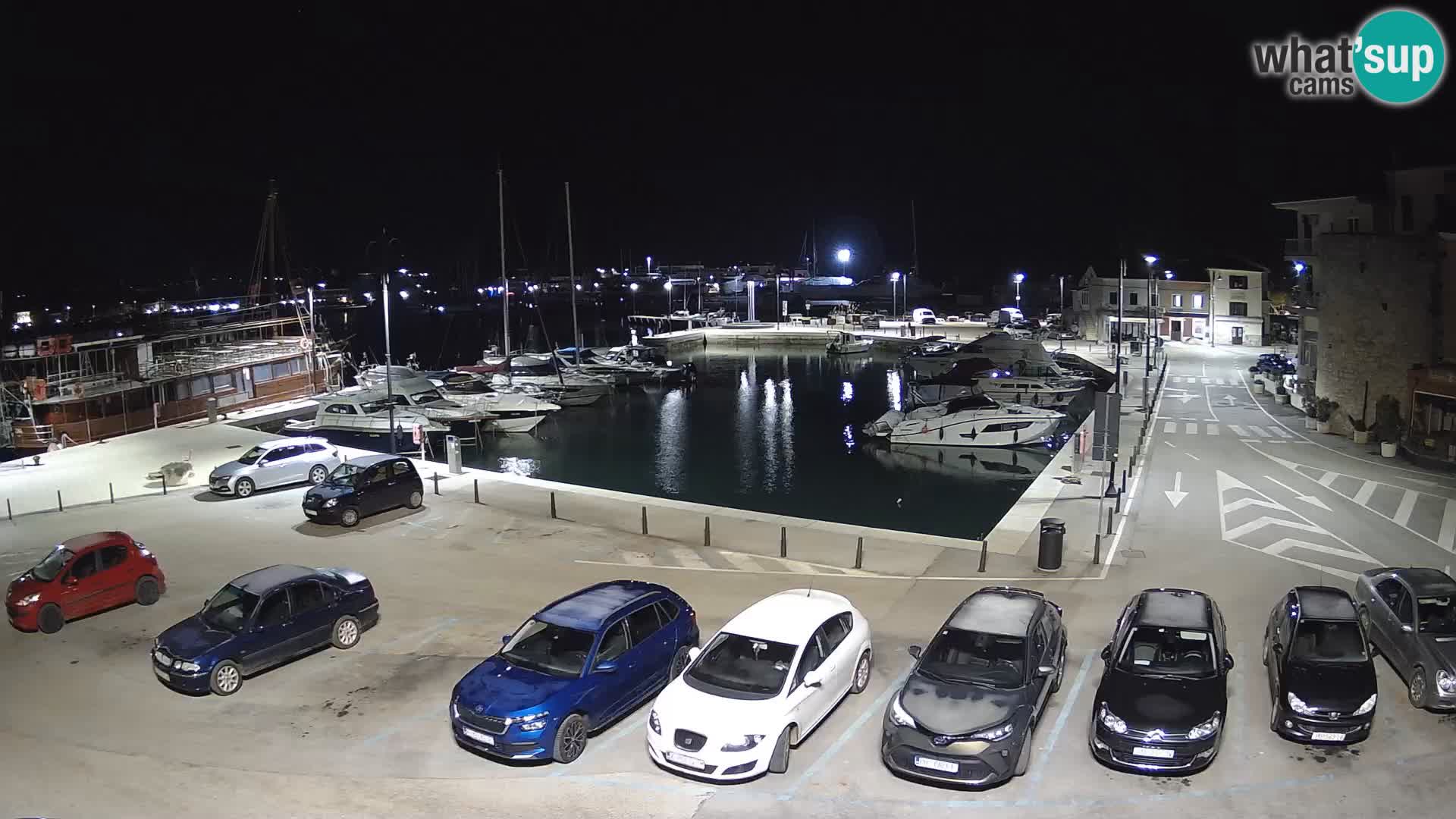 Novigrad | Porporela marina