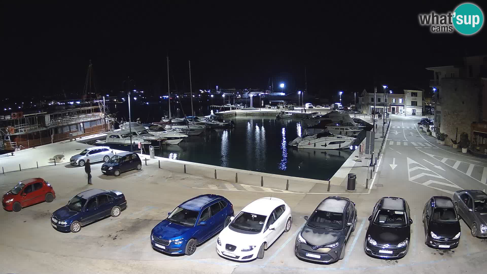 Novigrad | Porporela marina