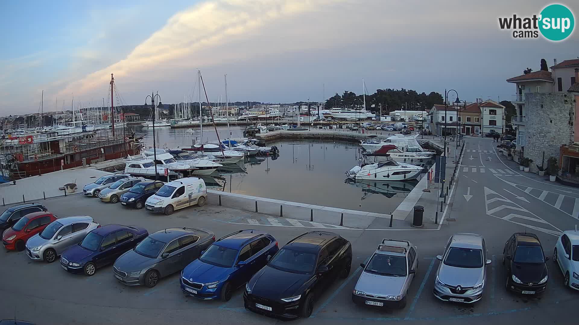 Novigrad | Porporela marina