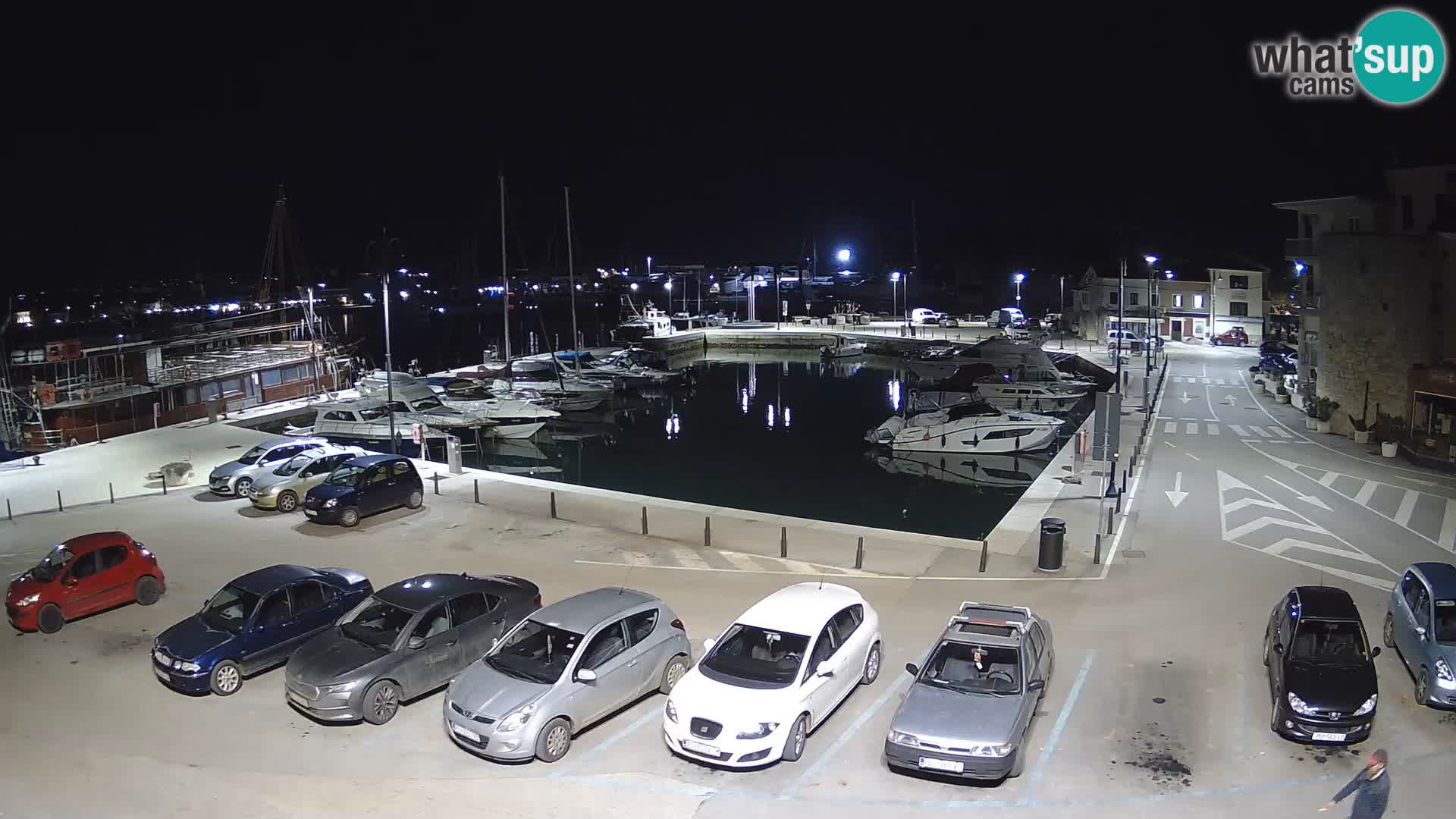 Novigrad | Porporela marina