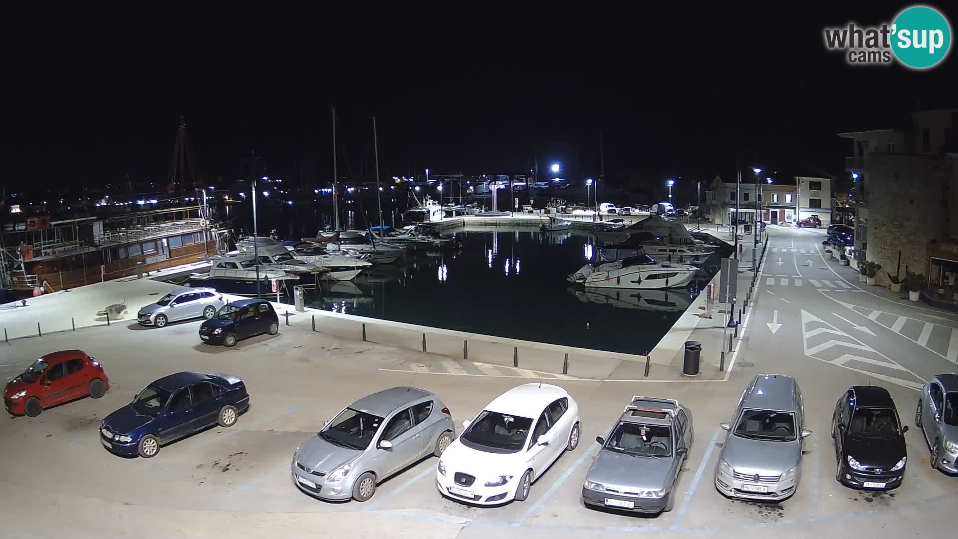 Novigrad | Porporela marina