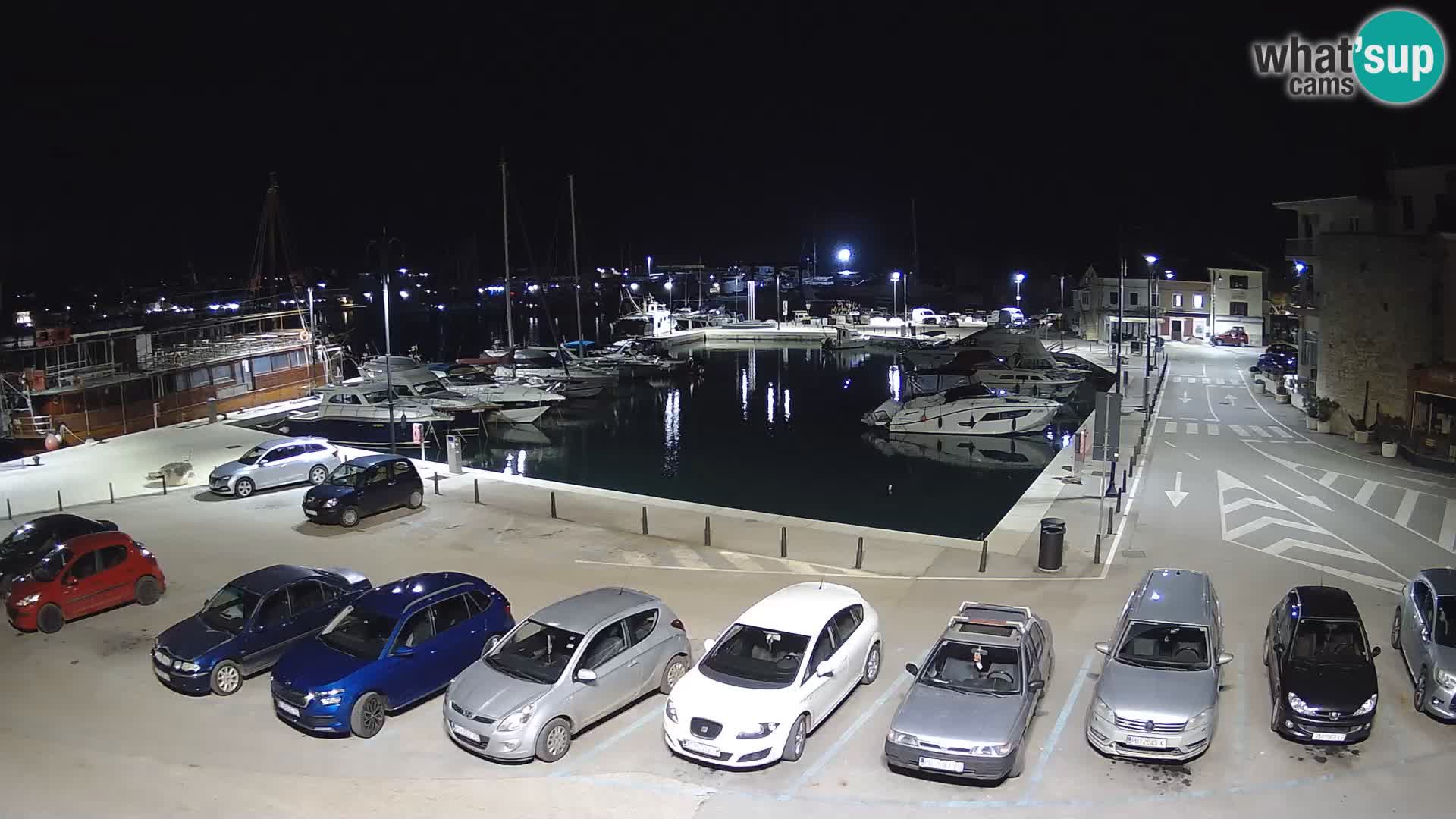 Novigrad | Porporela marina