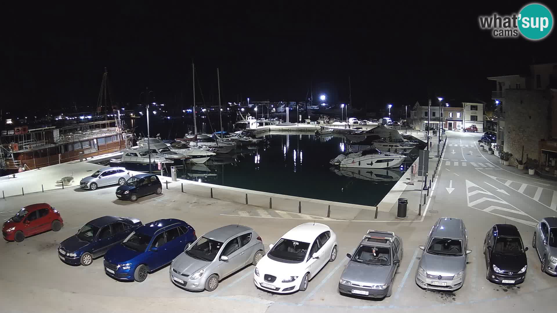 Novigrad | Porporela marina