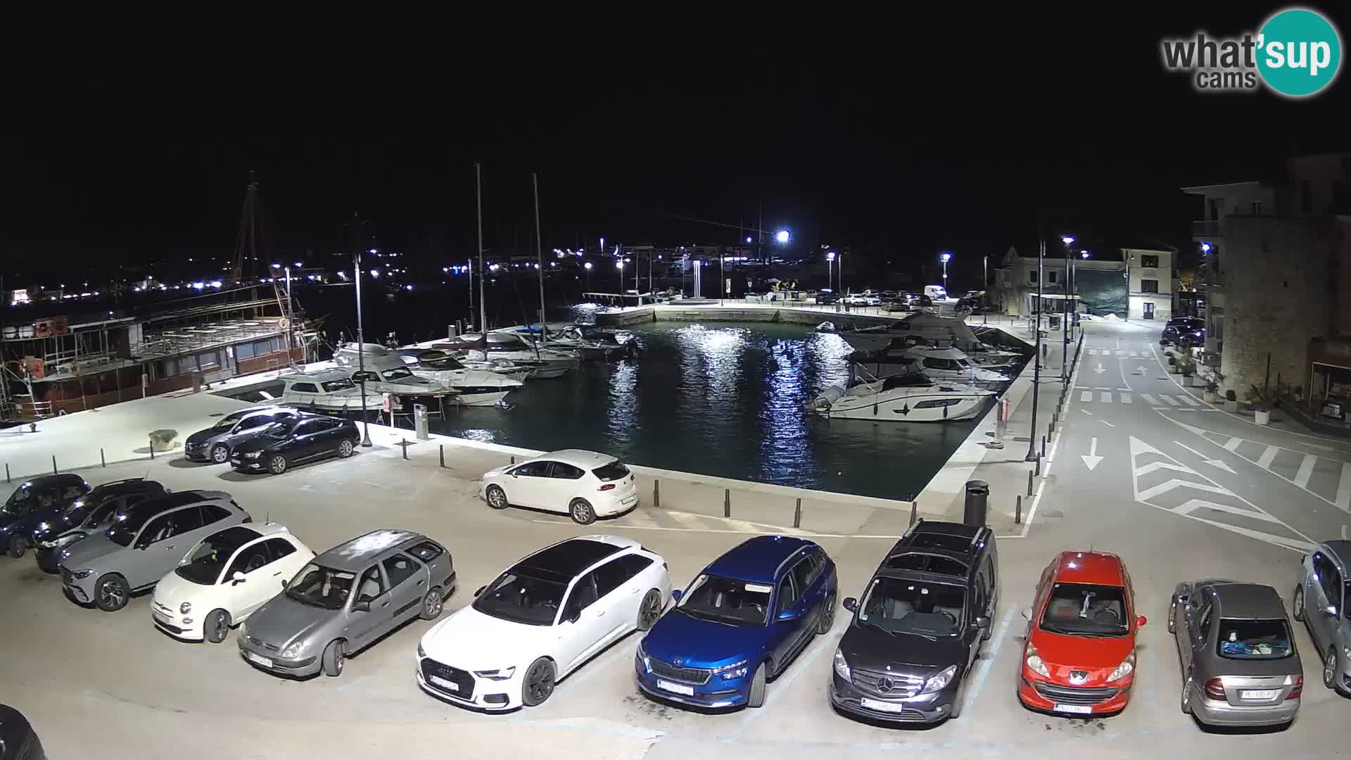 Novigrad | Porporela marina