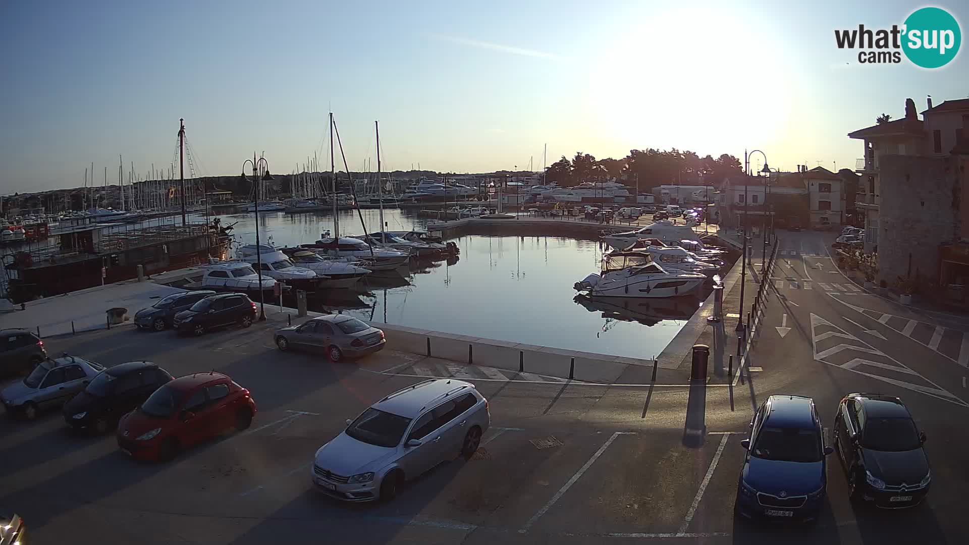 Novigrad | Porporela marina