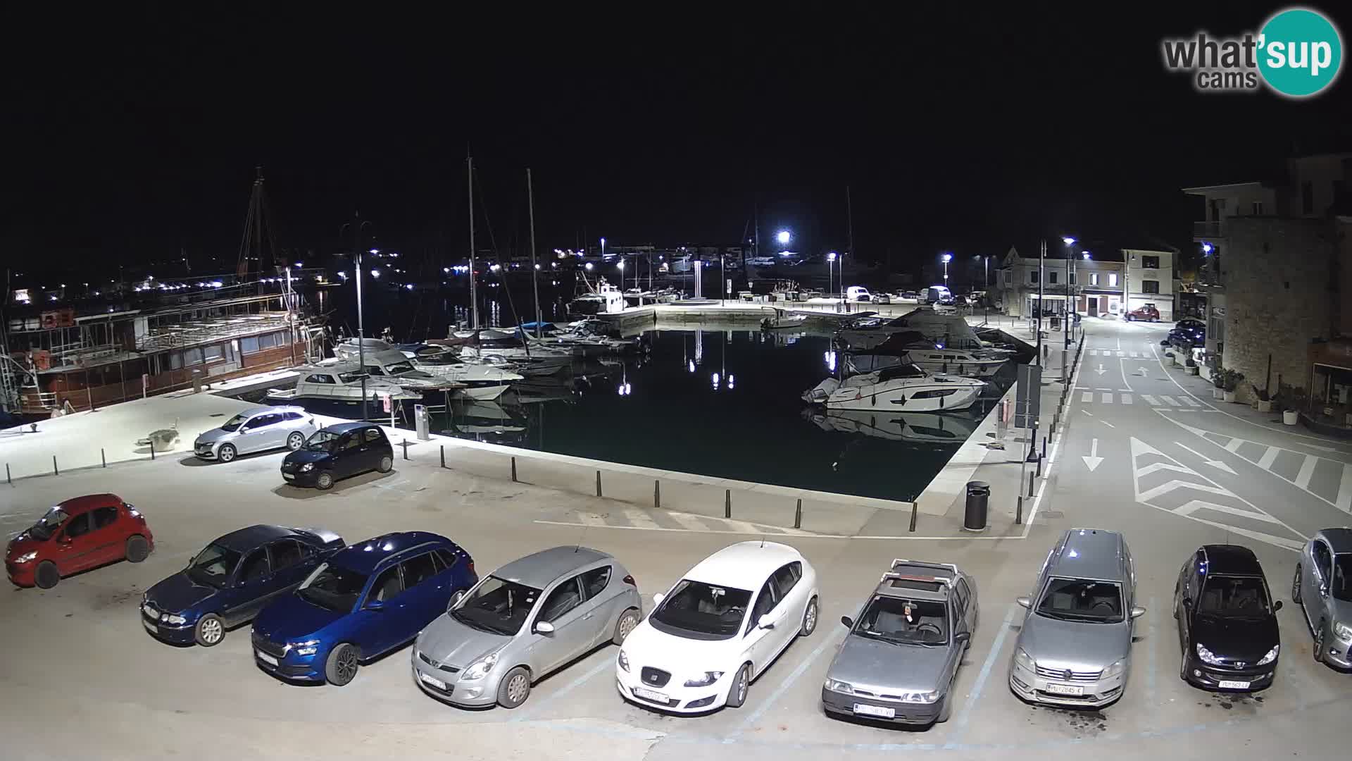 Novigrad | Porporela marina