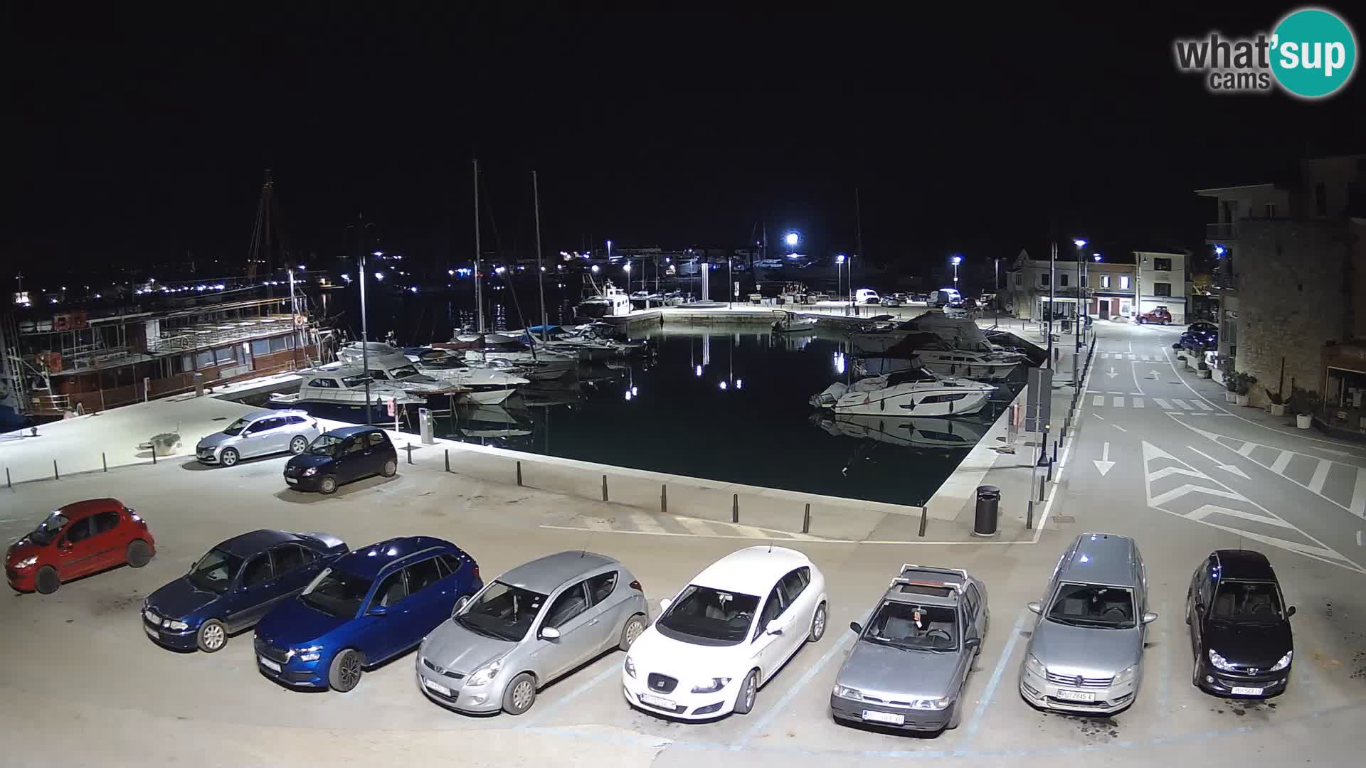 Novigrad | Porporela marina