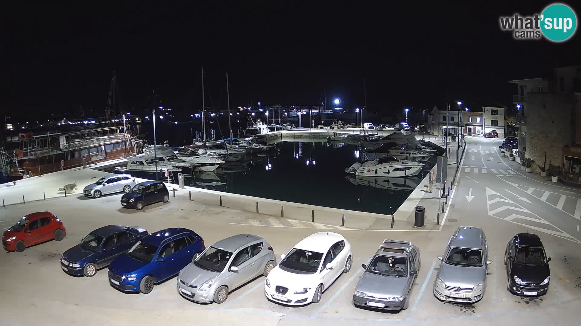 Novigrad | Porporela marina