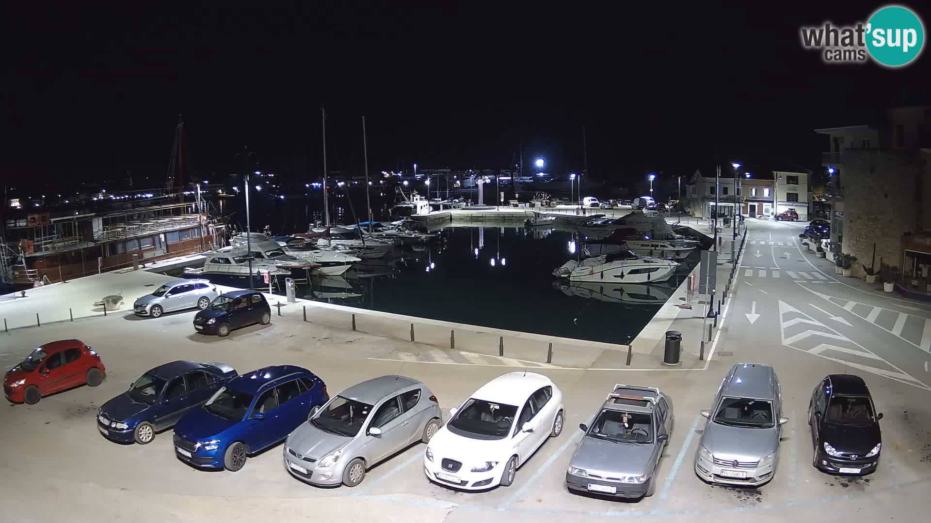 Novigrad | Porporela marina