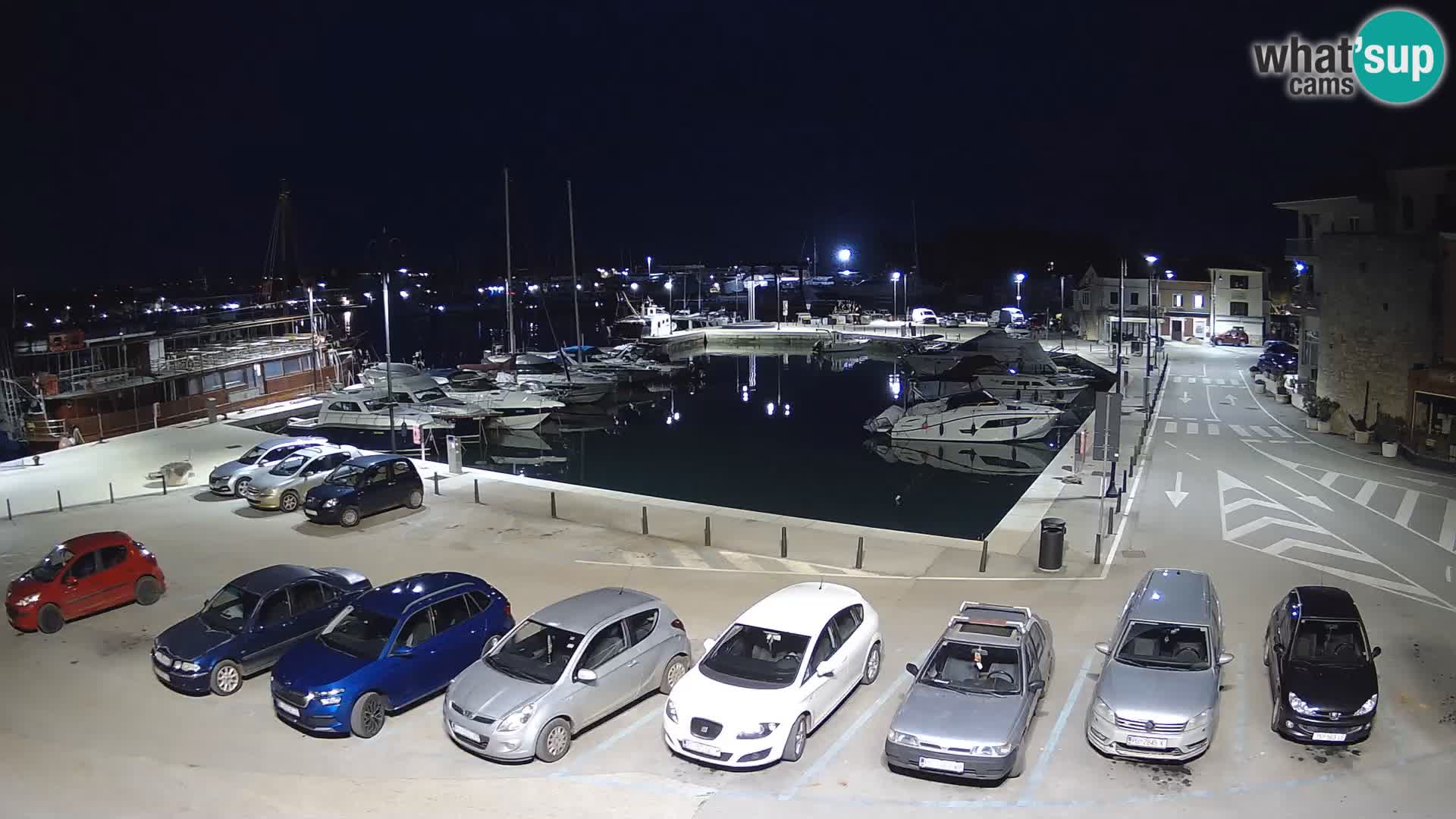 Novigrad | Porporela marina