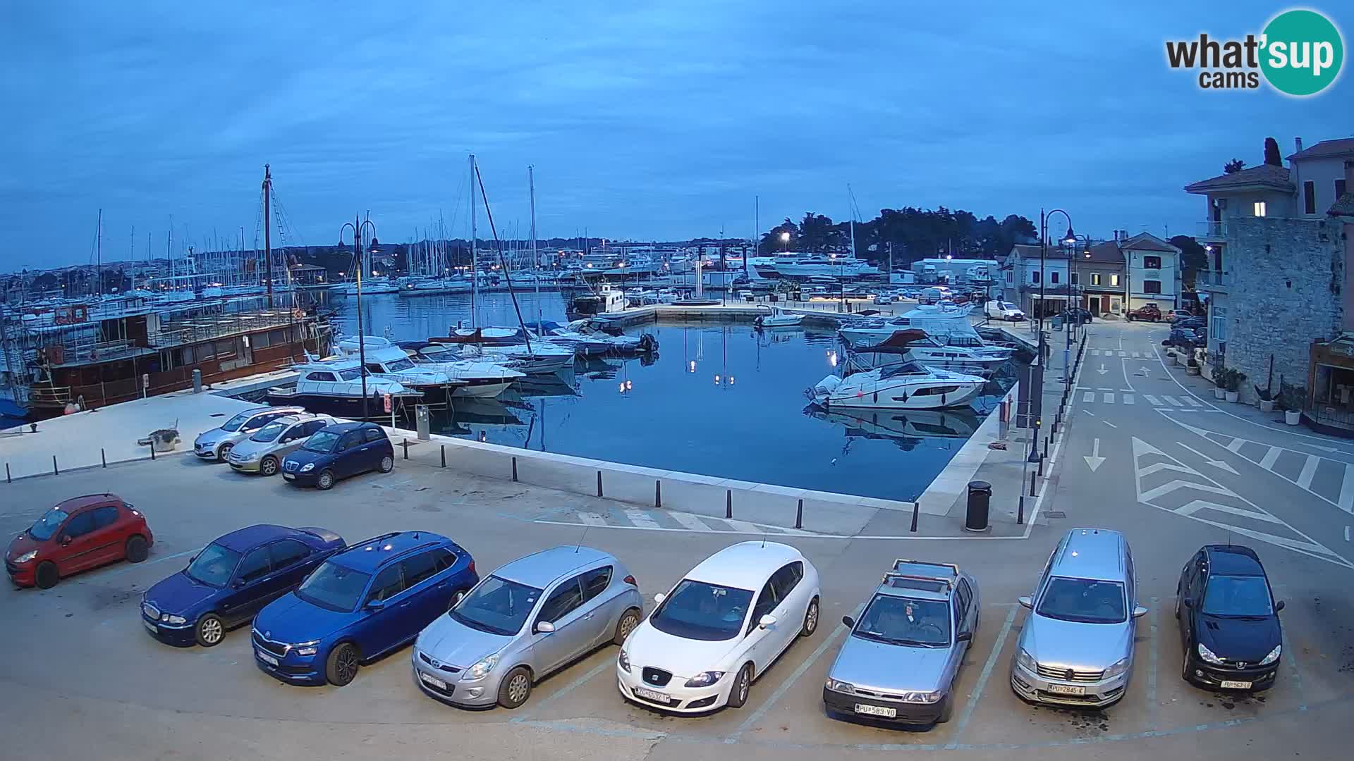 Novigrad | Porporela marina