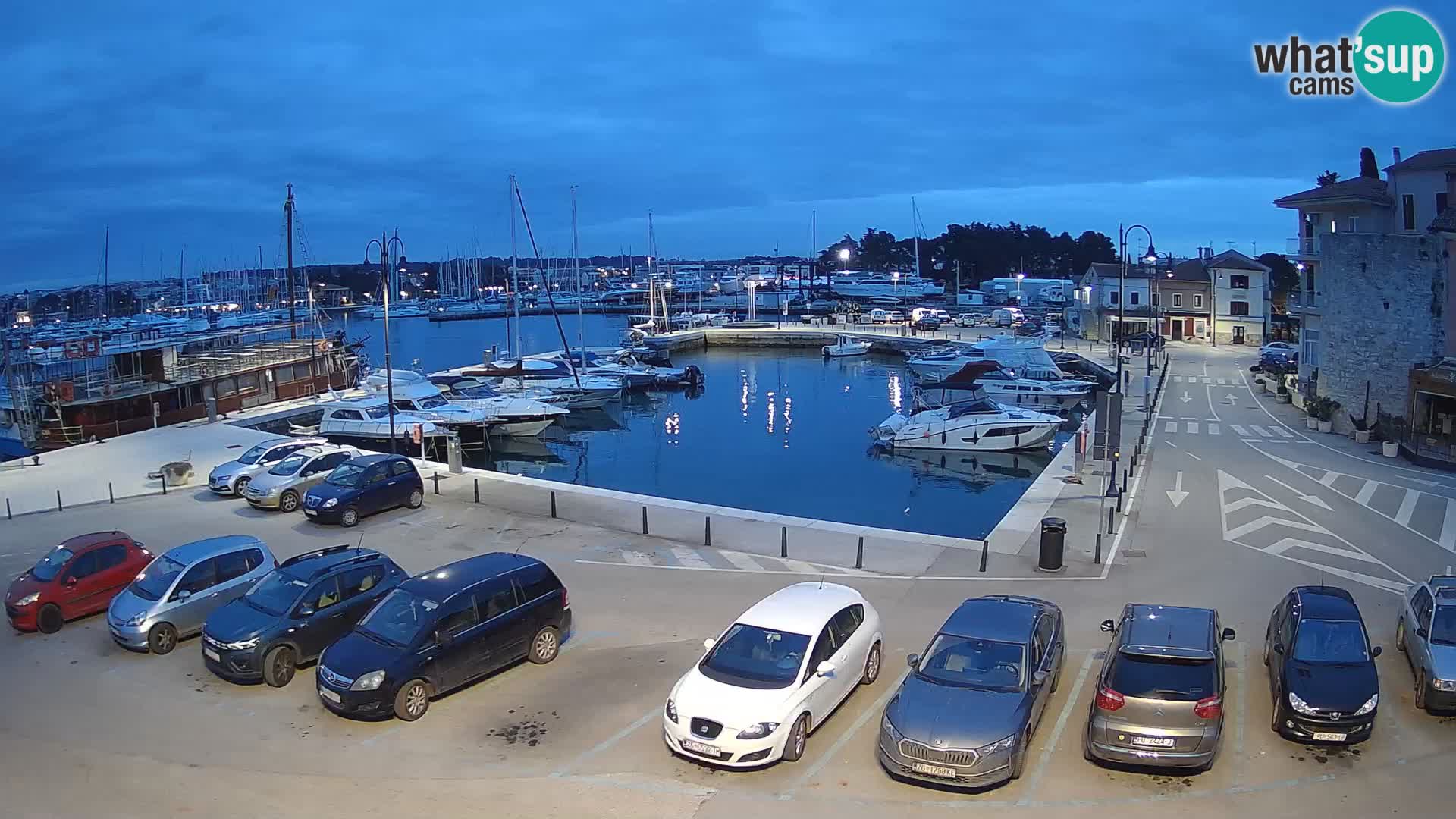 Novigrad | Porporela marina