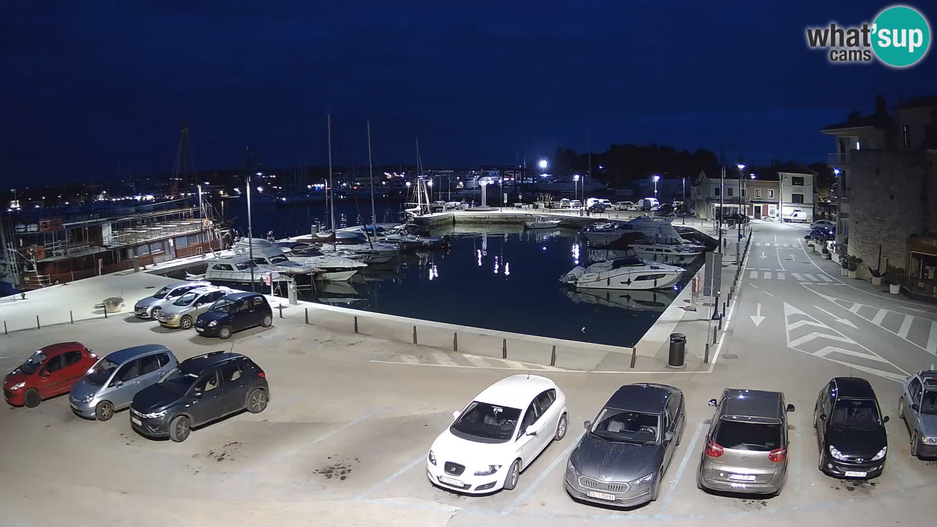 Novigrad | Porporela marina