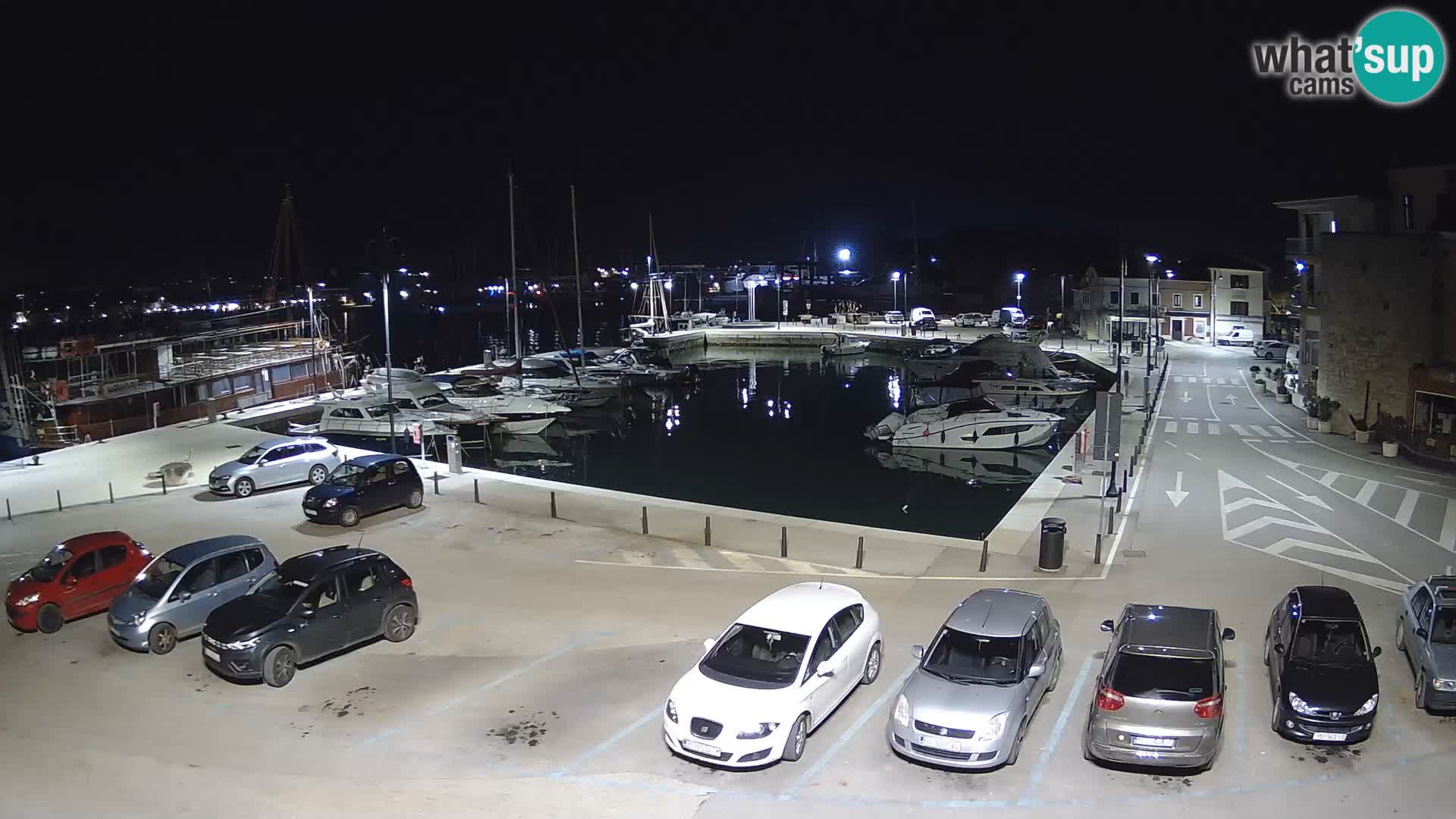 Novigrad | Porporela marina