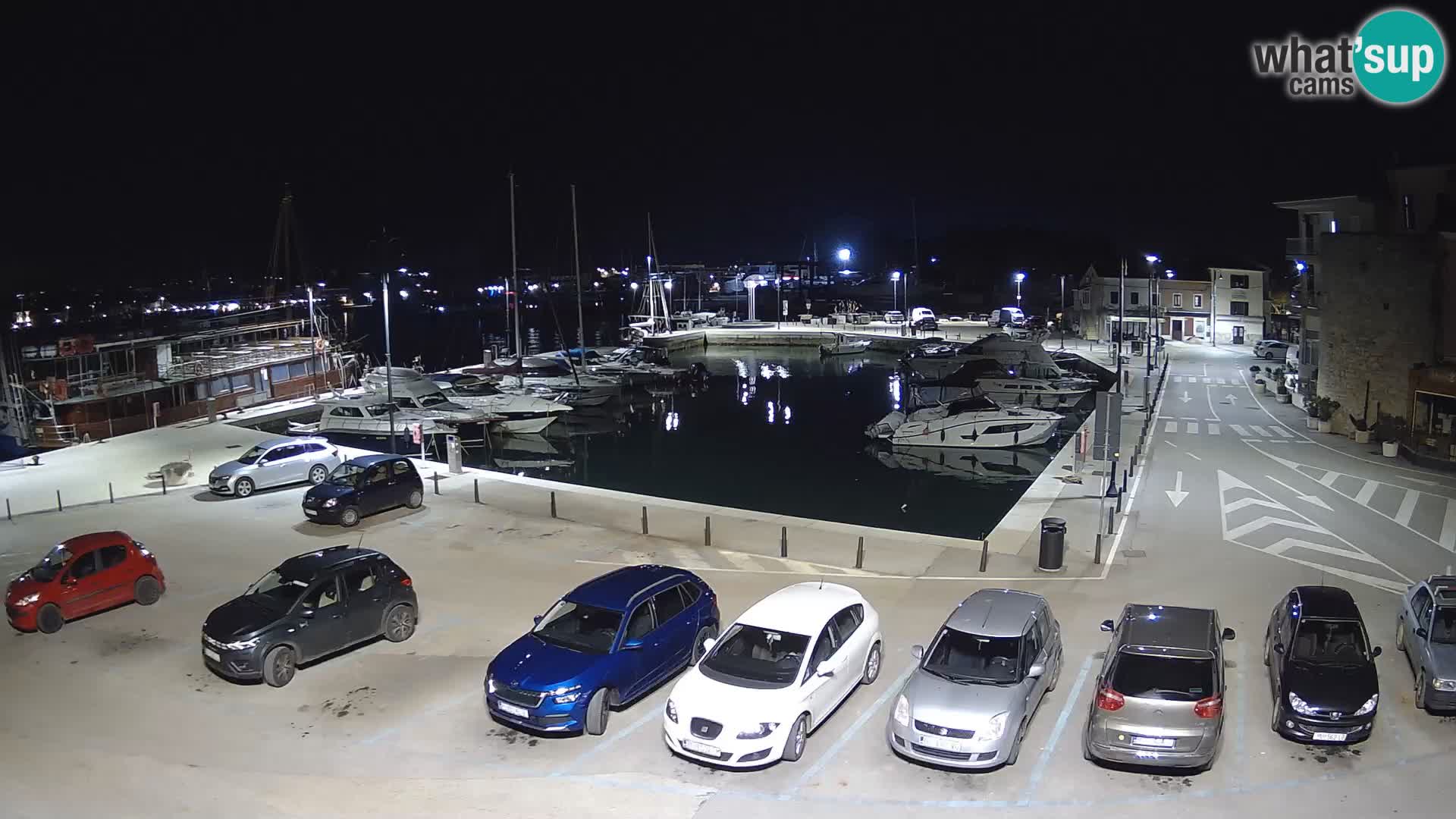 Novigrad | Porporela marina