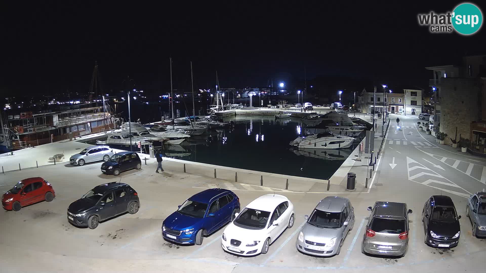 Novigrad | Porporela marina