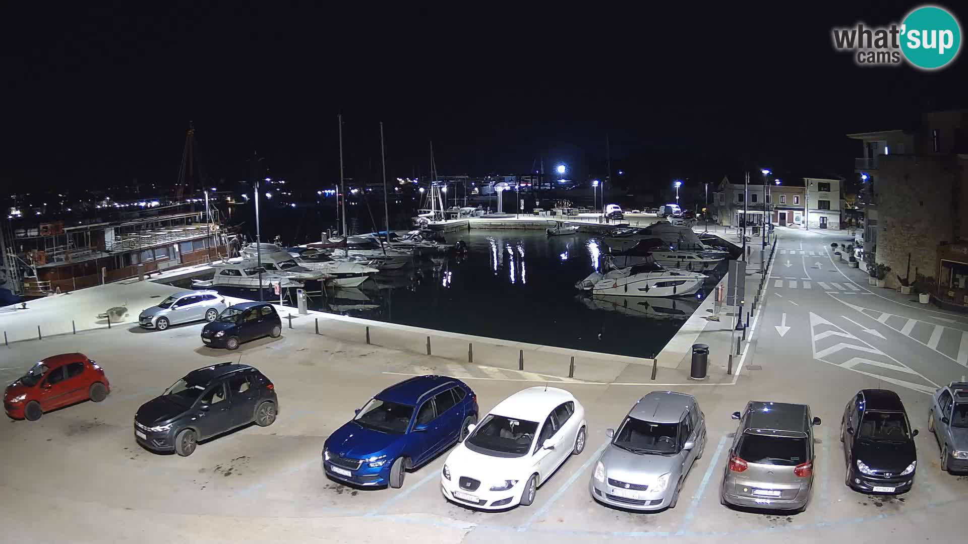 Novigrad | Porporela marina