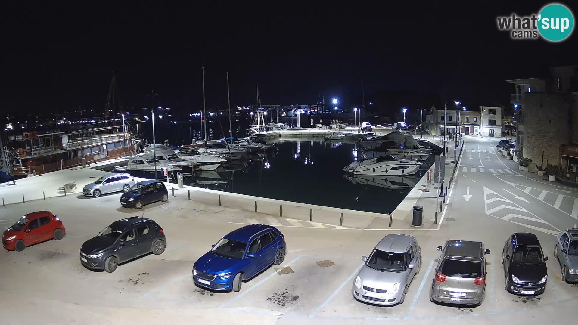 Novigrad | Porporela marina