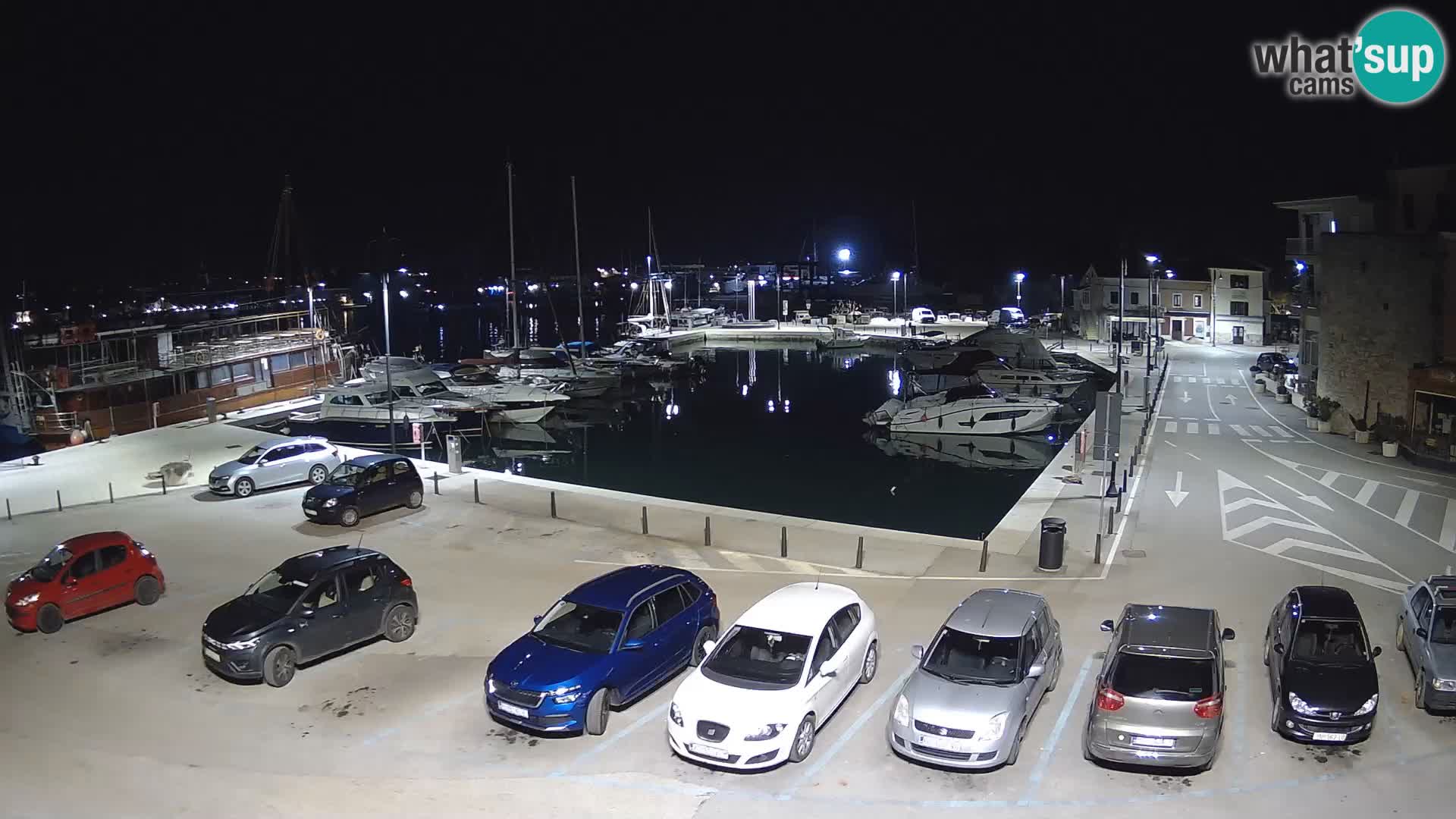 Novigrad | Porporela marina