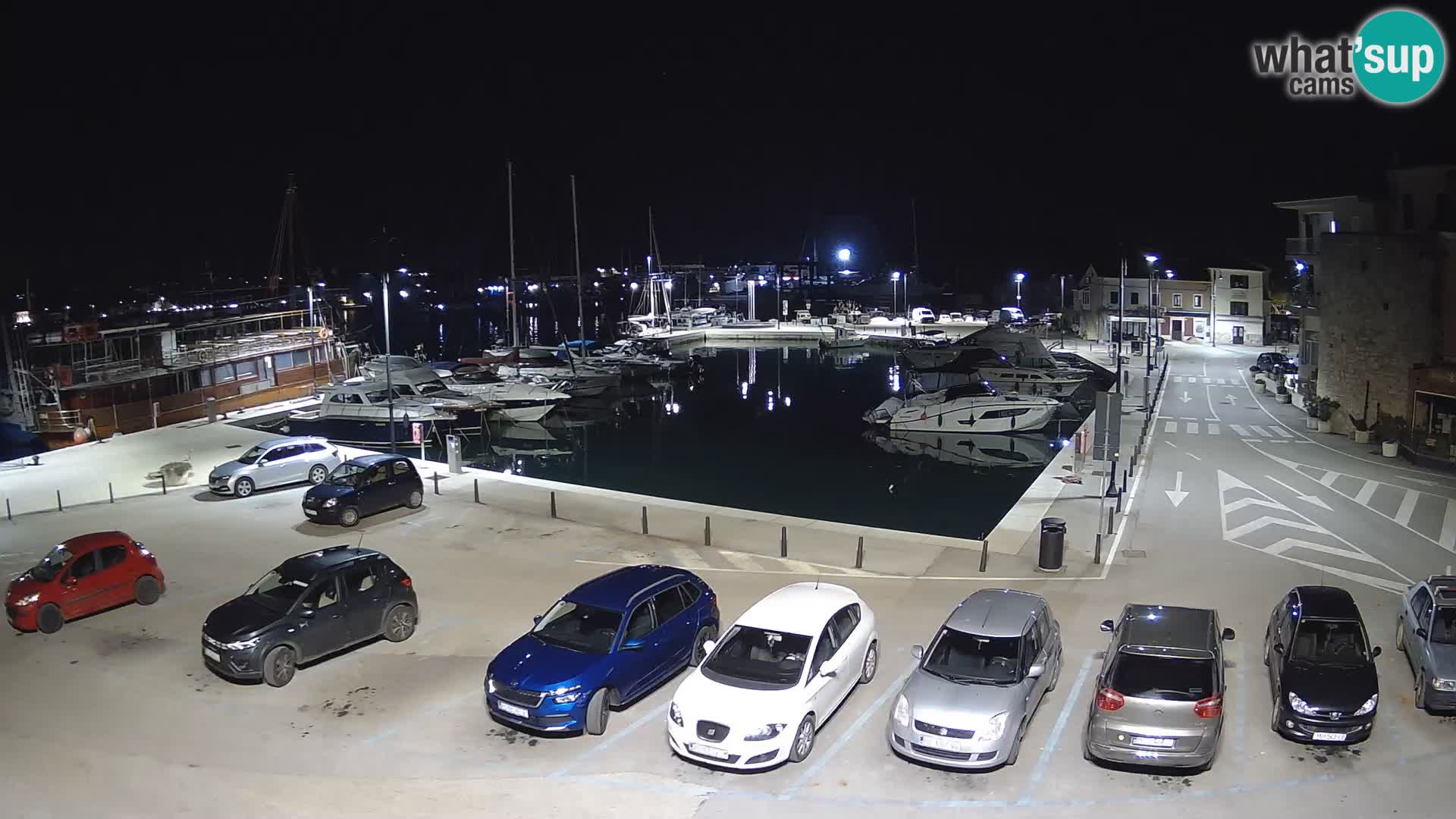 Novigrad | Porporela marina