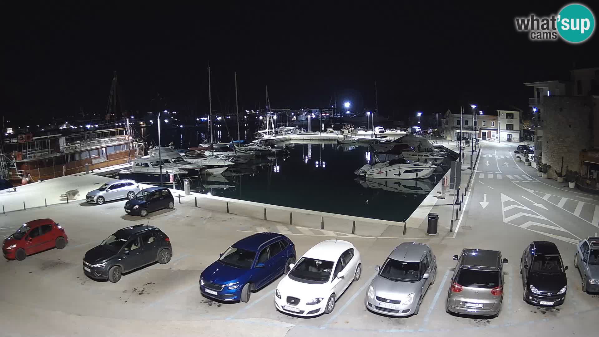 Novigrad | Porporela marina