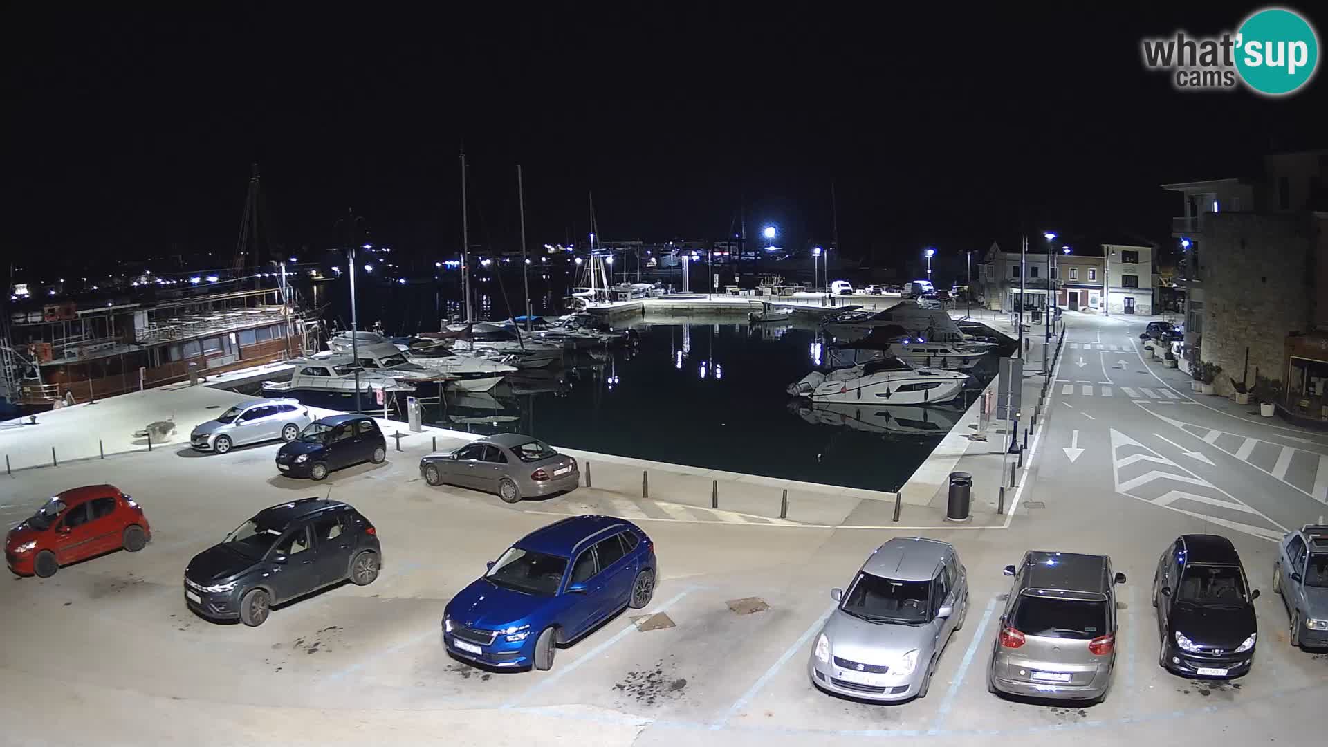 Novigrad | Porporela marina